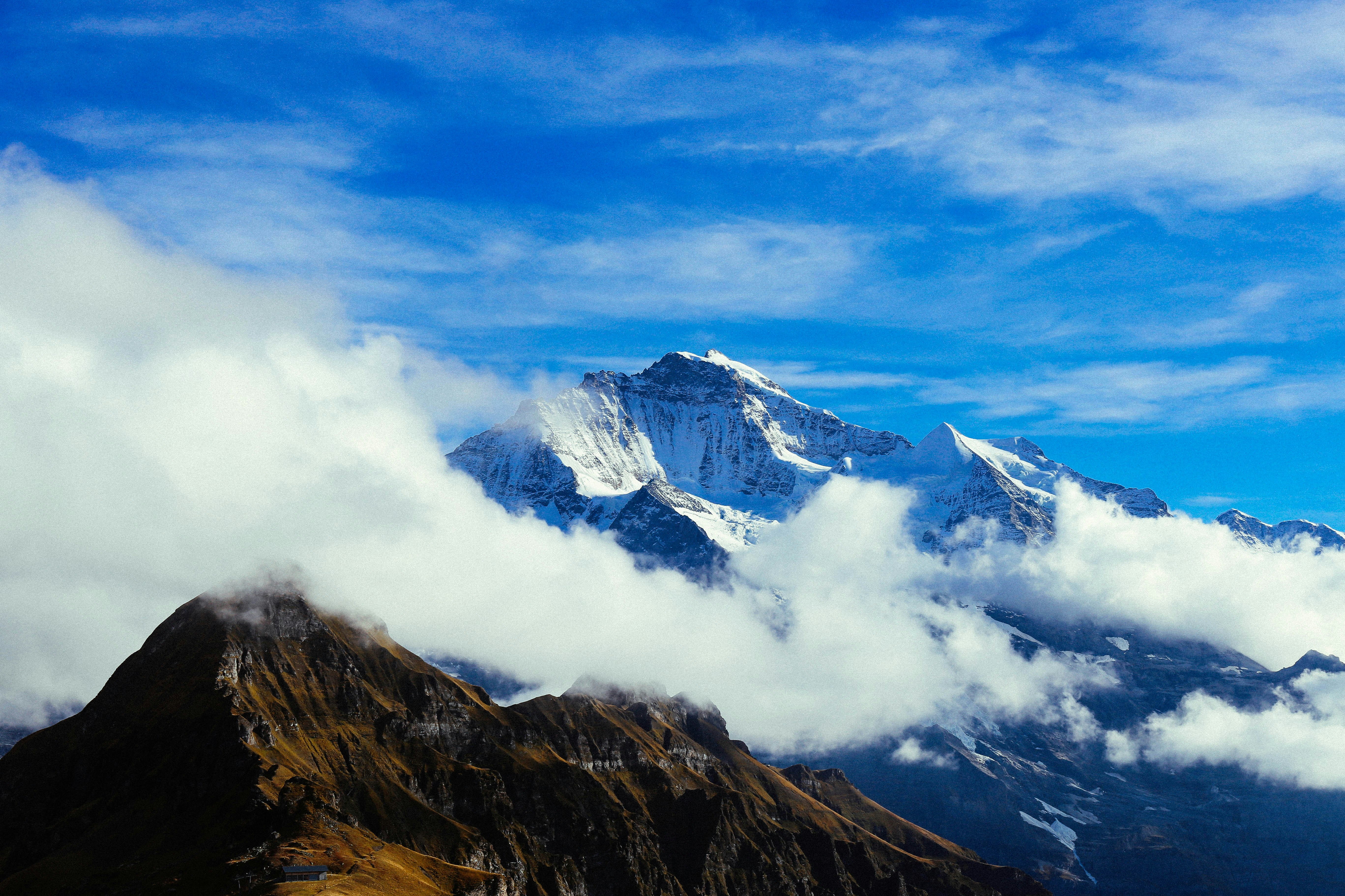 Photo by tommaomaoer