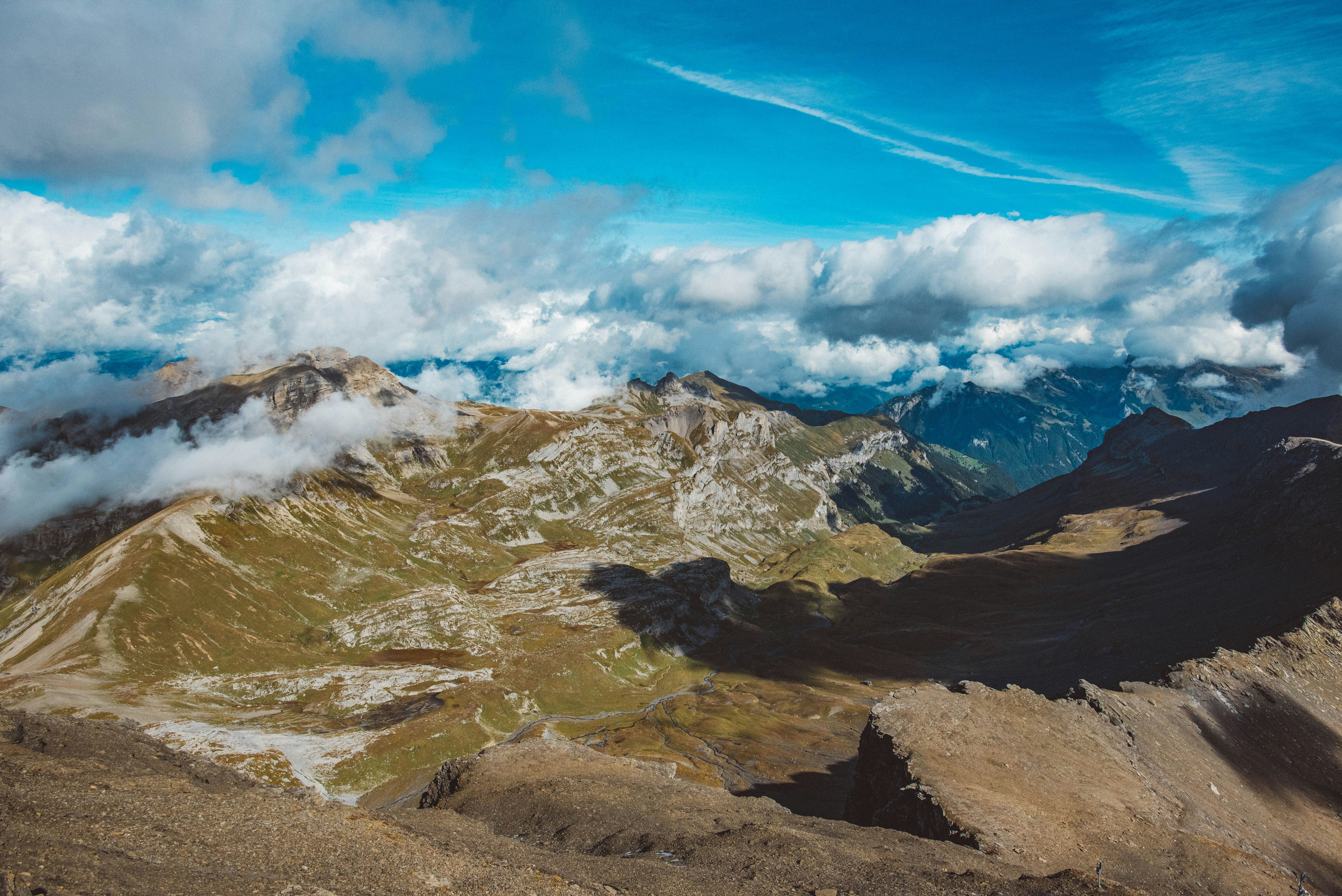 Photo by tommaomaoer