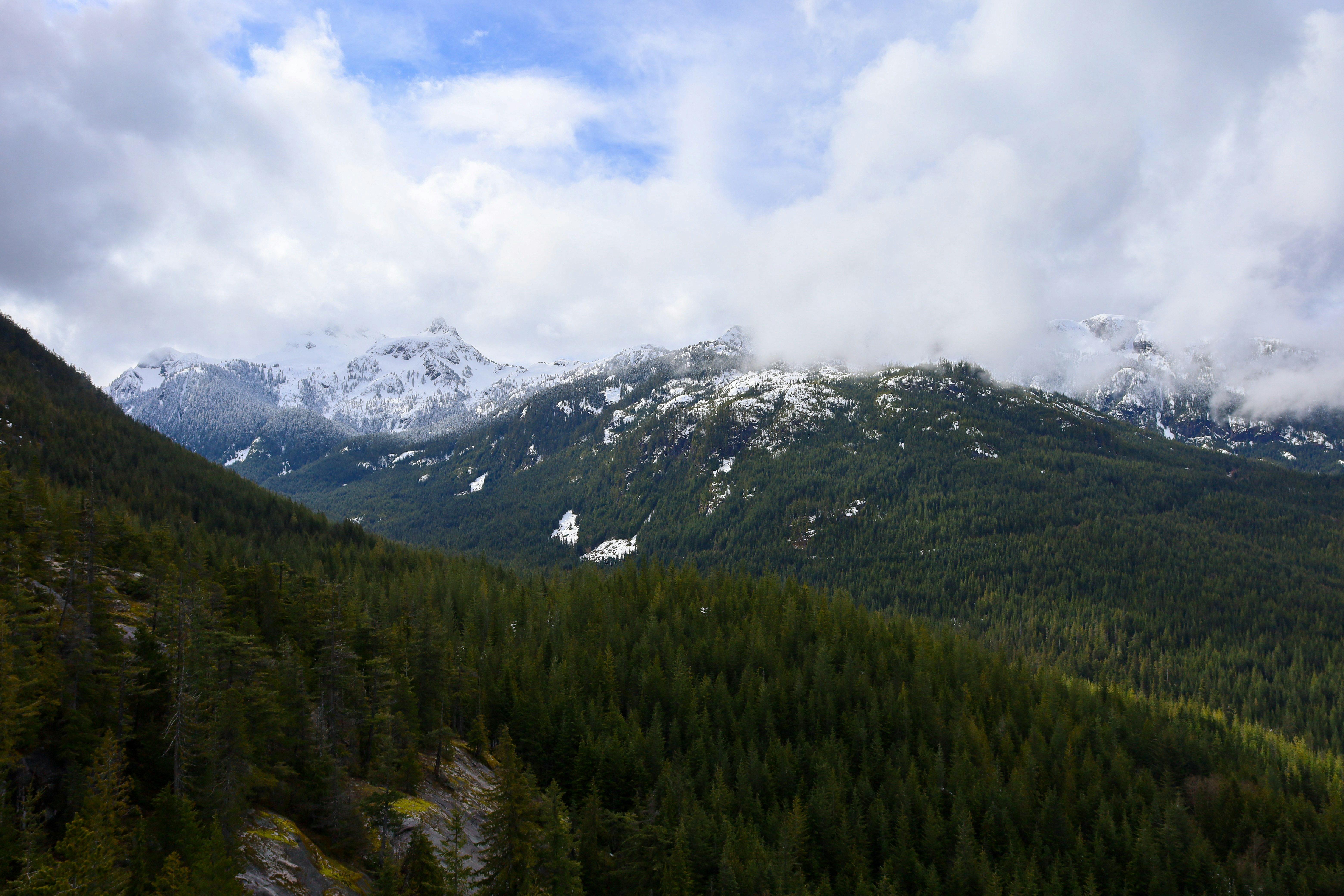View on top of the Sea to Sky Gondola in Squamish British Columbia. The view of the snowy peak in contrast of the green forest was amazing.