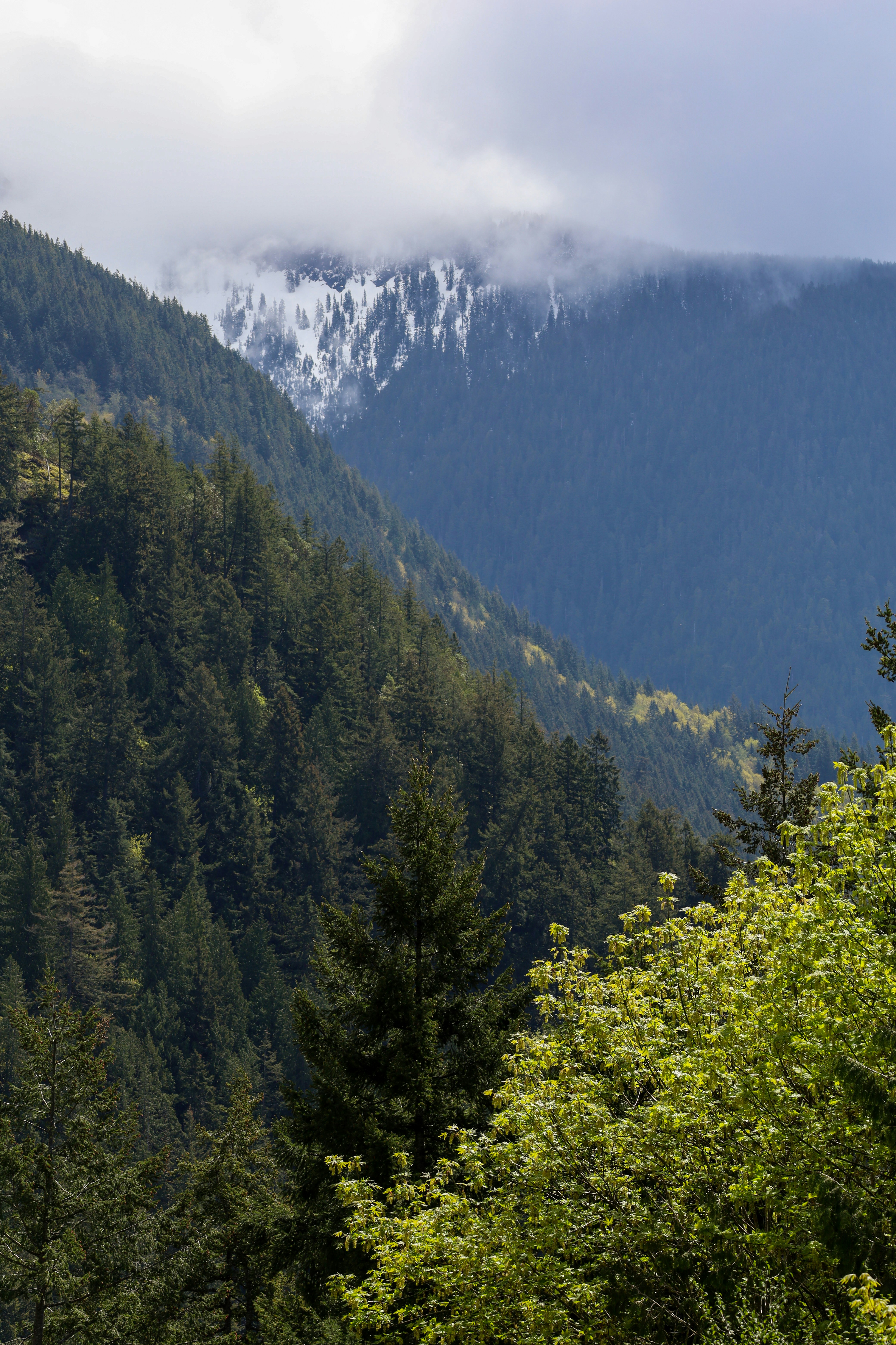 Photo by andrewdarlington