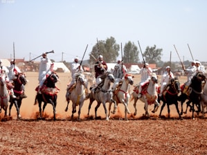 A group of traditionally dressed riders is performing a cavalry display on horseback across a dusty field. The riders are wearing white robes and holding rifles in the air. Their horses are adorned with colorful harnesses.