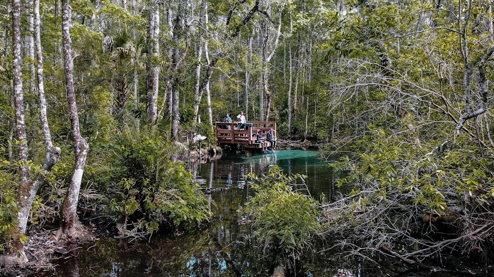 a boat on a river surrounded by trees