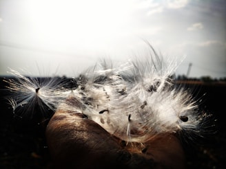 Close-up of hands gently holding a bundle of ethically sourced natural fibers under soft sunlight.