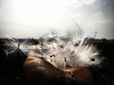 Hands holding soft, sustainable fiber meson strands outdoors