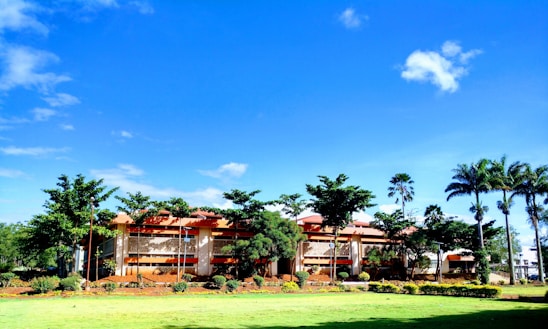 A vibrant school building surrounded by lush green trees under a clear blue sky.