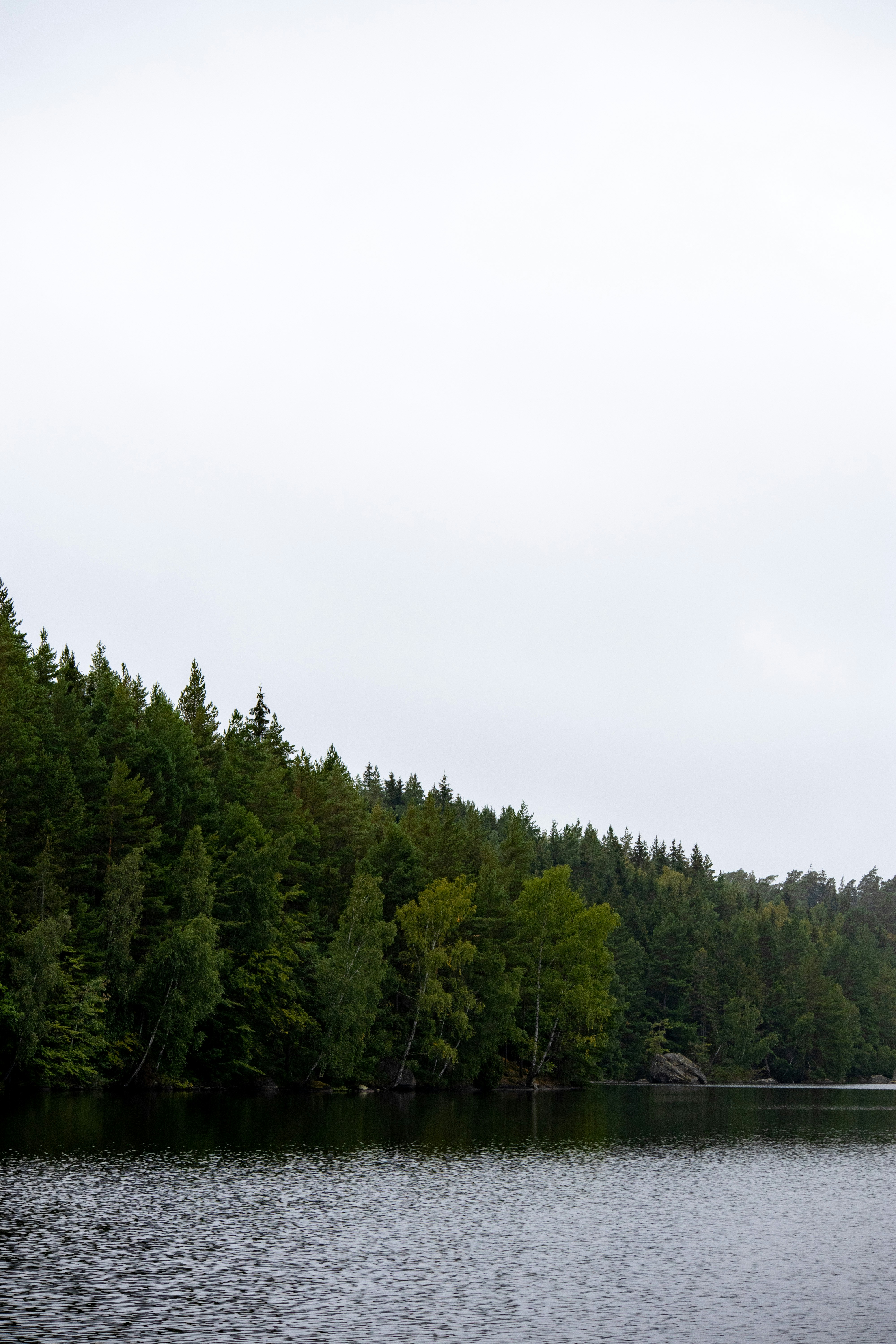 Photo by amandine_bataille_photo