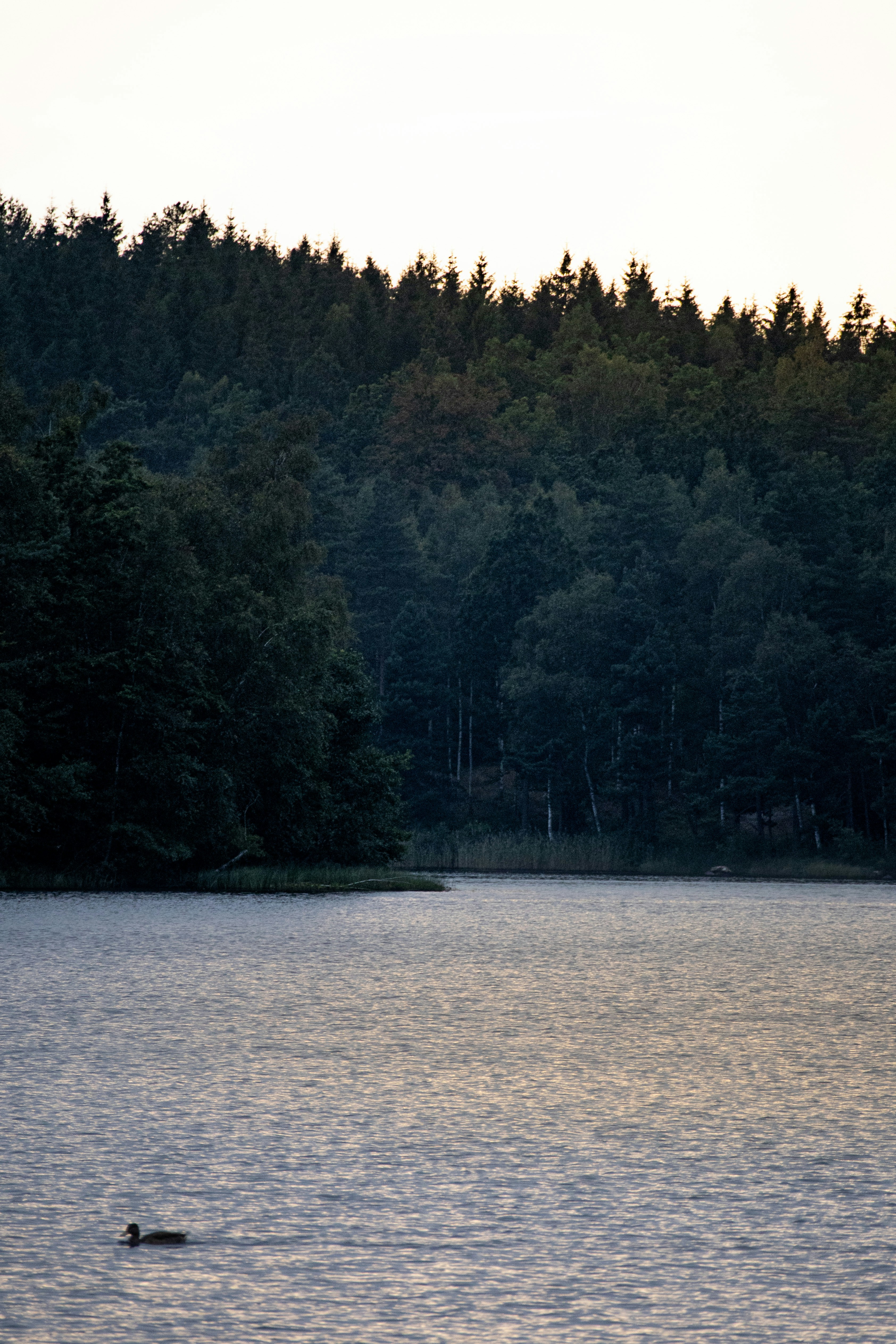 Photo by amandine_bataille_photo