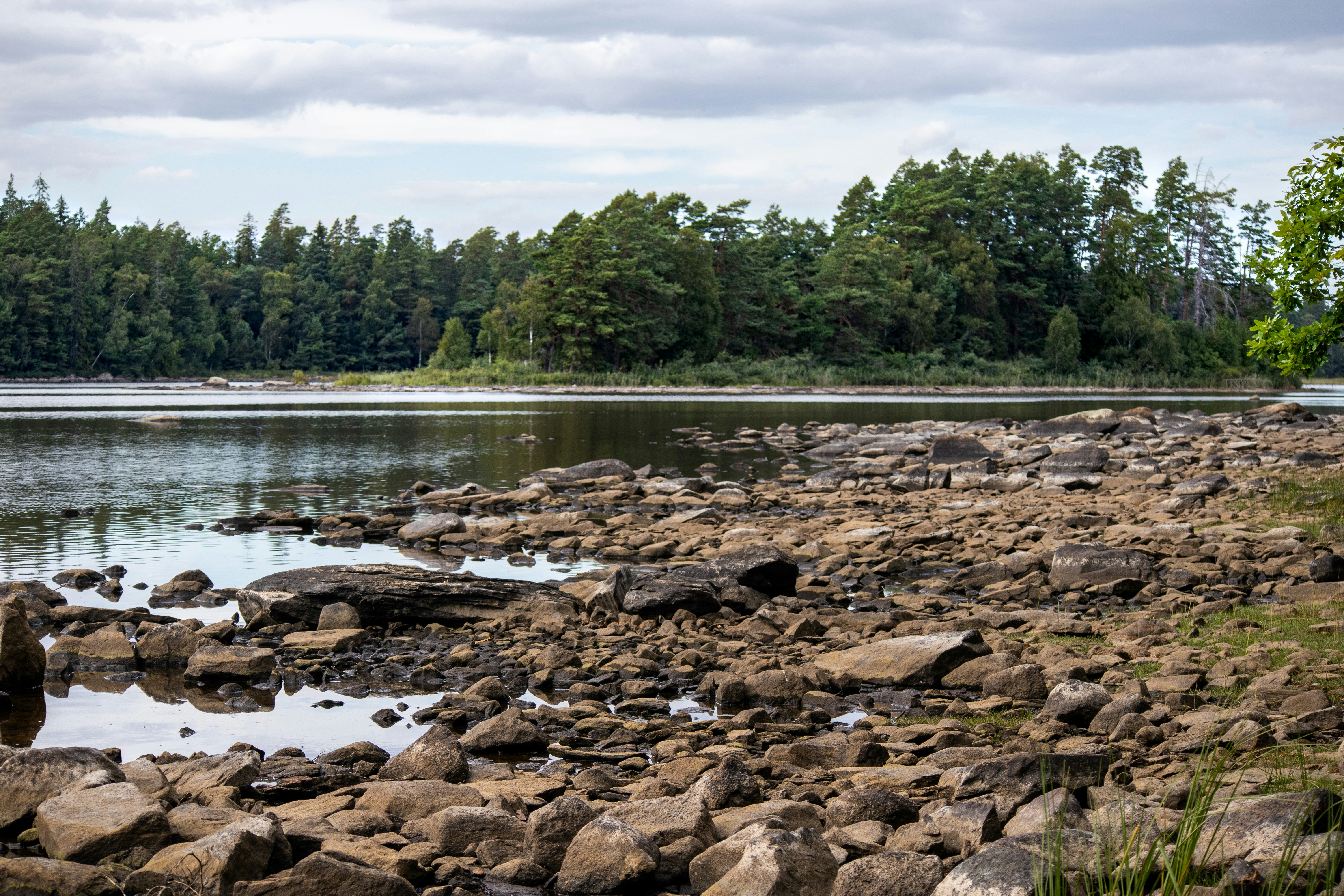 Photo by amandine_bataille_photo