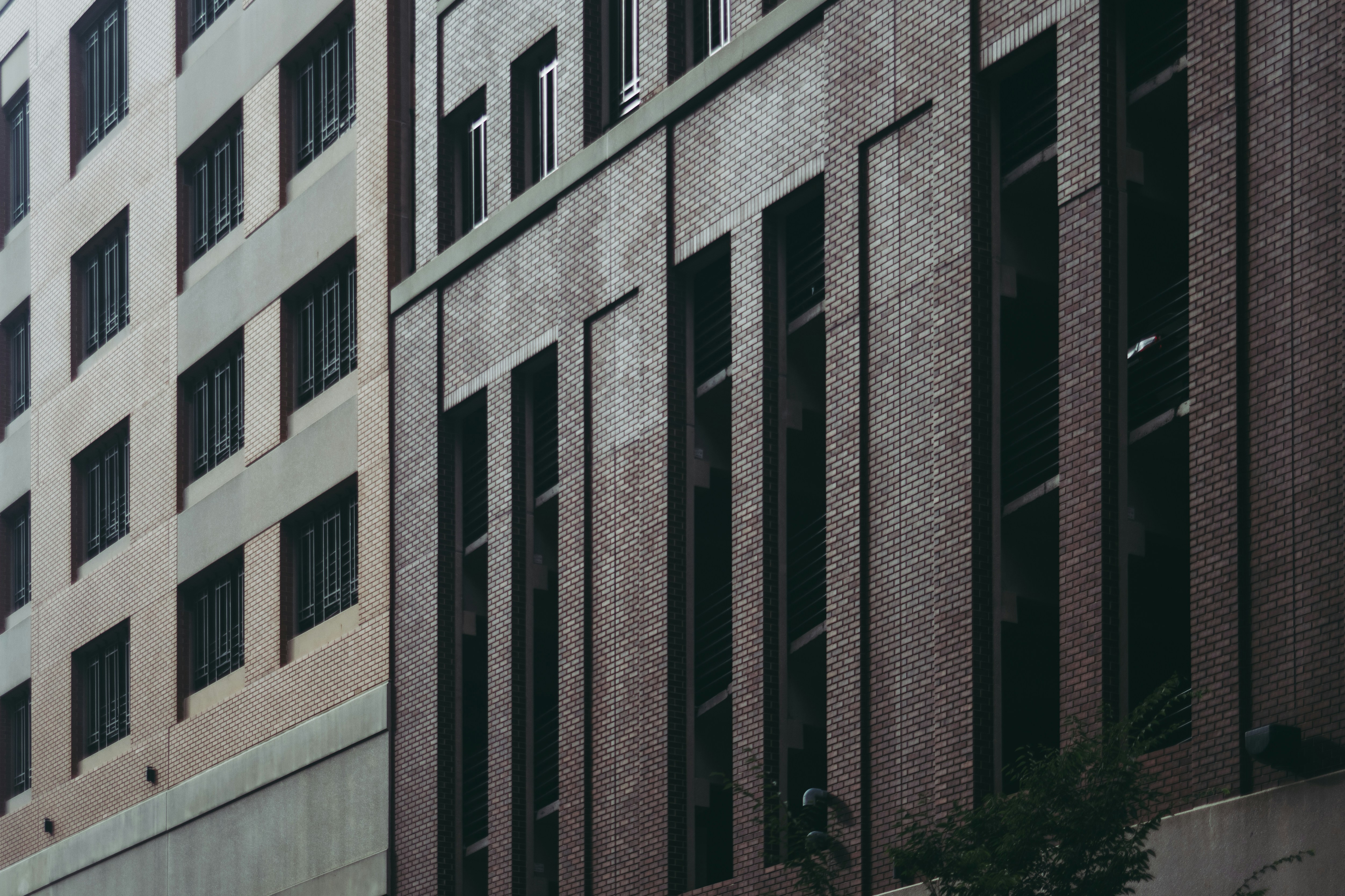 Photo by romandempire