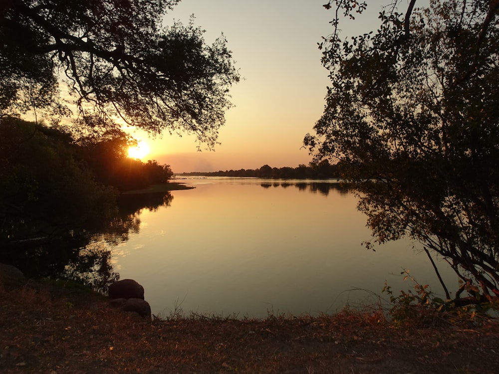 uno specchio d'acqua con alberi intorno e un tramonto