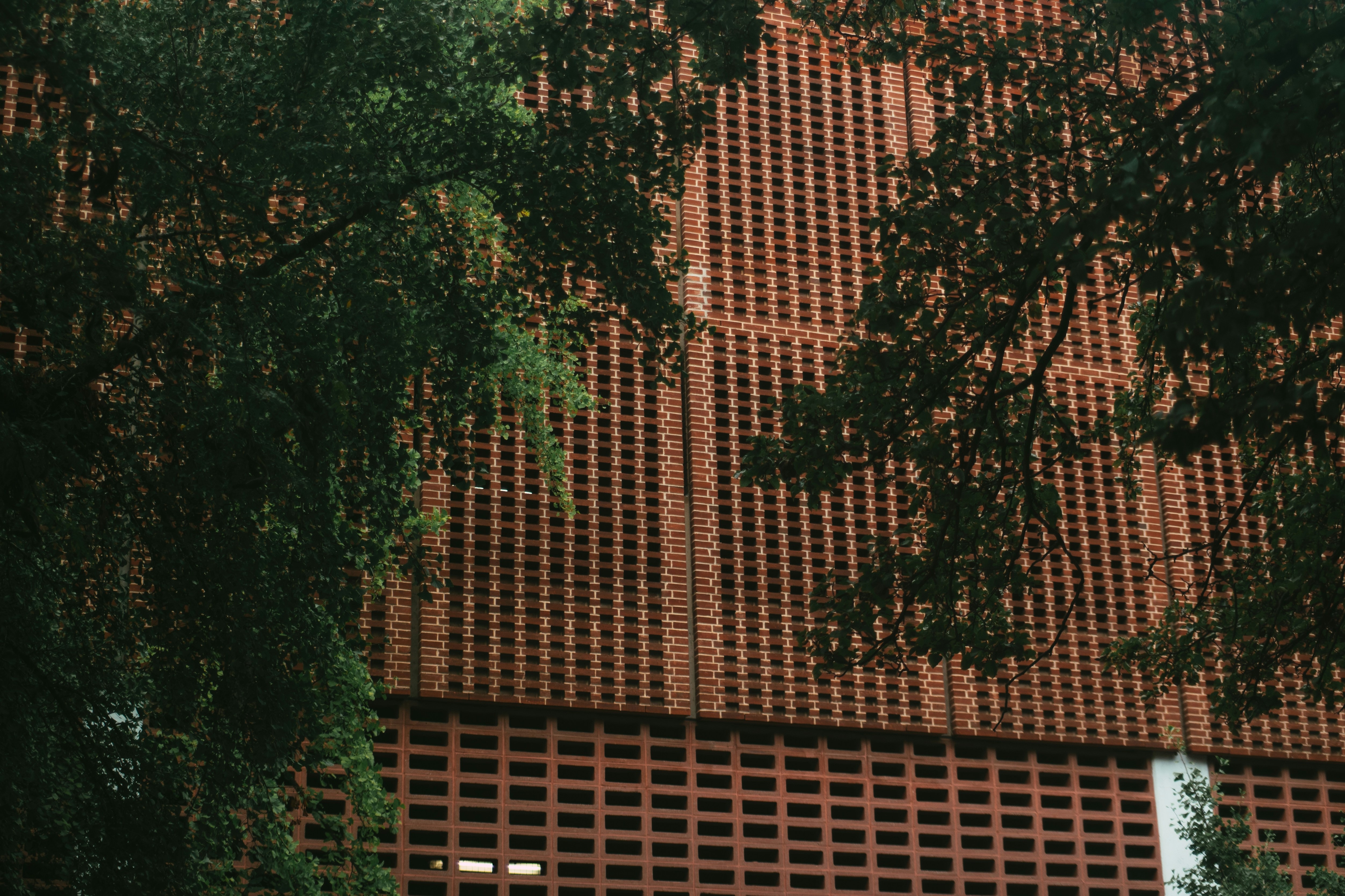 भारतीय विदेश मंत्रालय की बिल्डिंग की तस्वीर, जिसके सामने एक सूचना बोर्ड लगा हो।