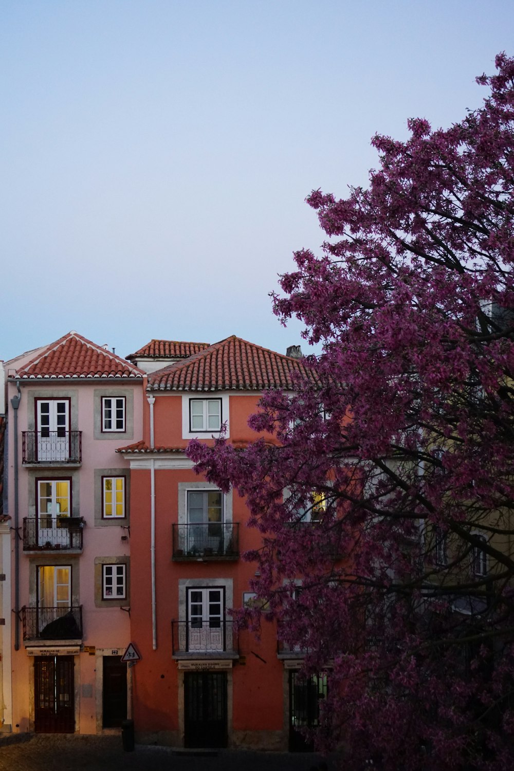 a tree in front of a building