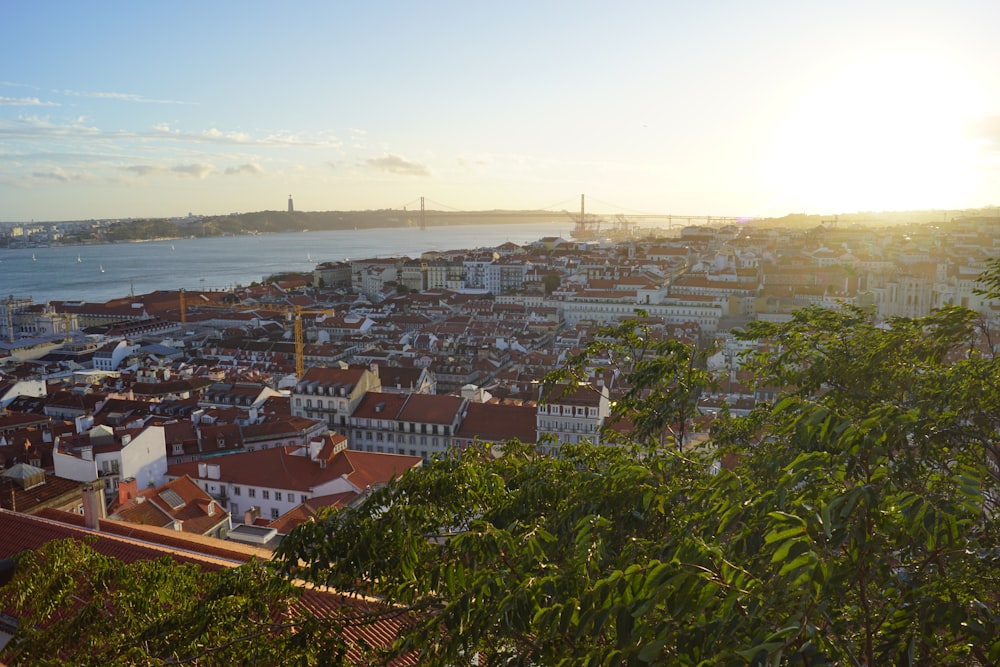 a city with many buildings and trees