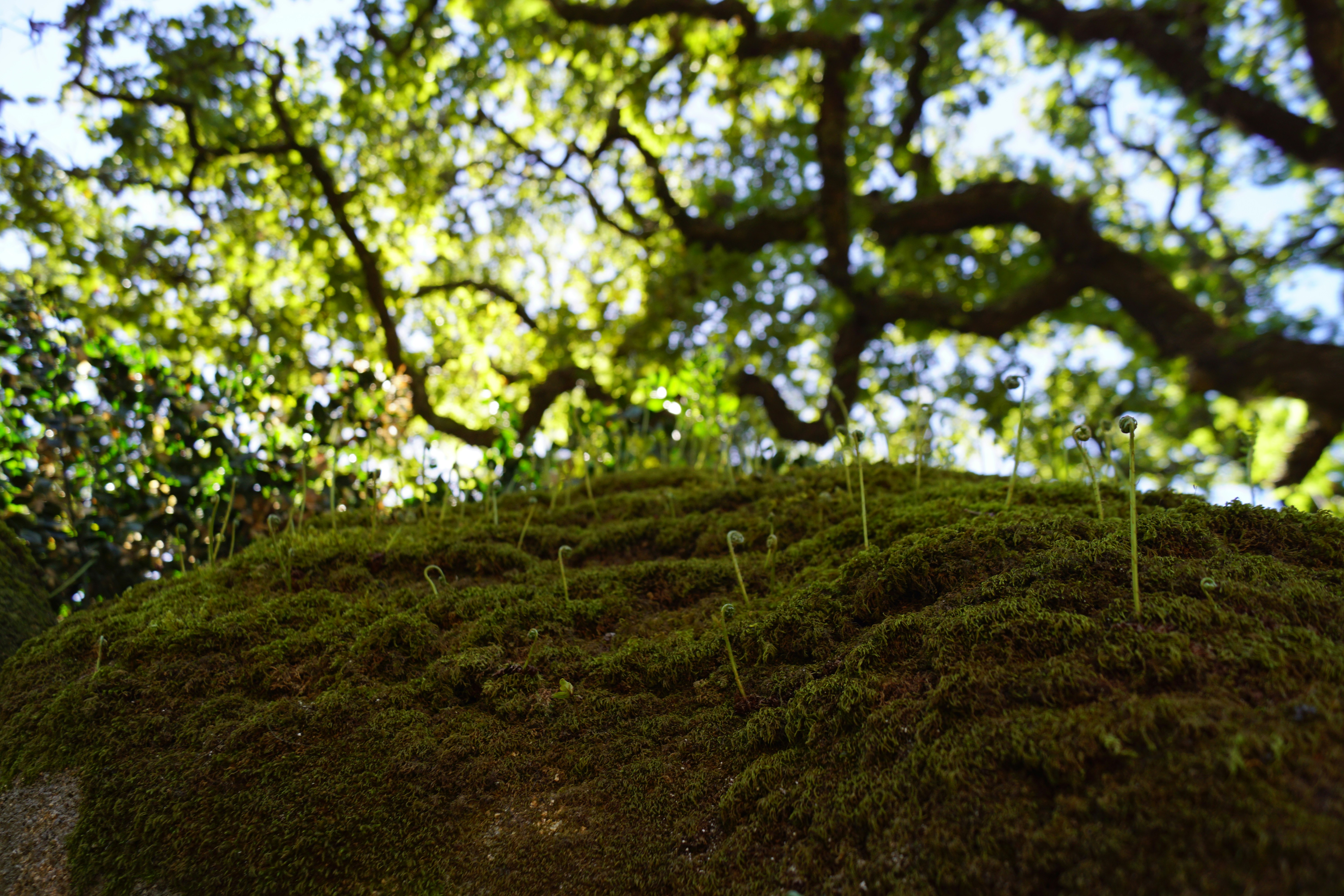 Photo by aurianeclem