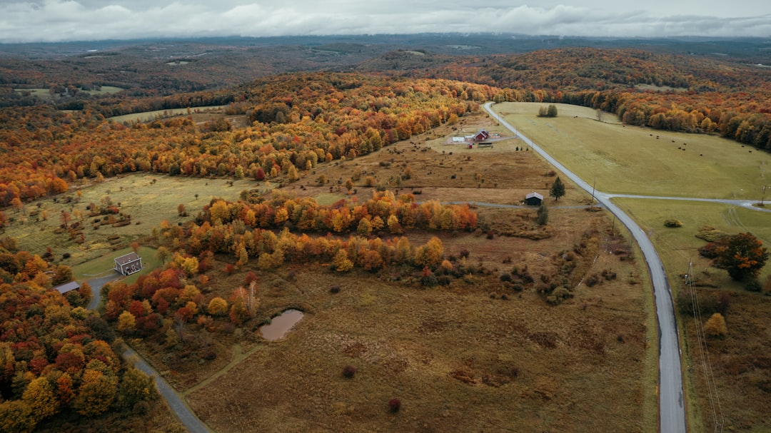 a road going through a field, Catskill Mountains in the fall 2/6 (IG: @clay.banks