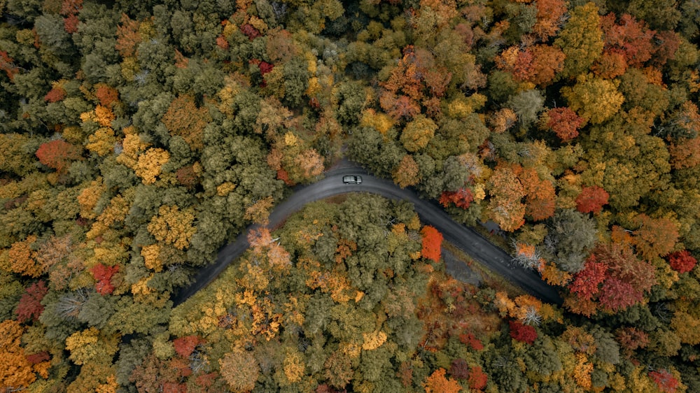 a black fork on a pile of leaves