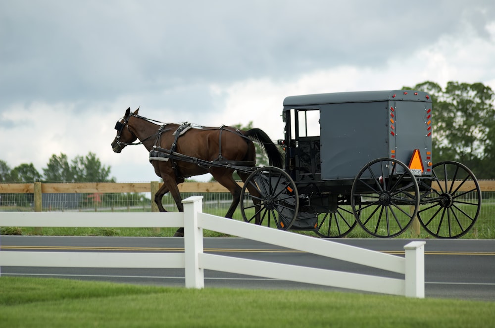 a horse pulling a carriage