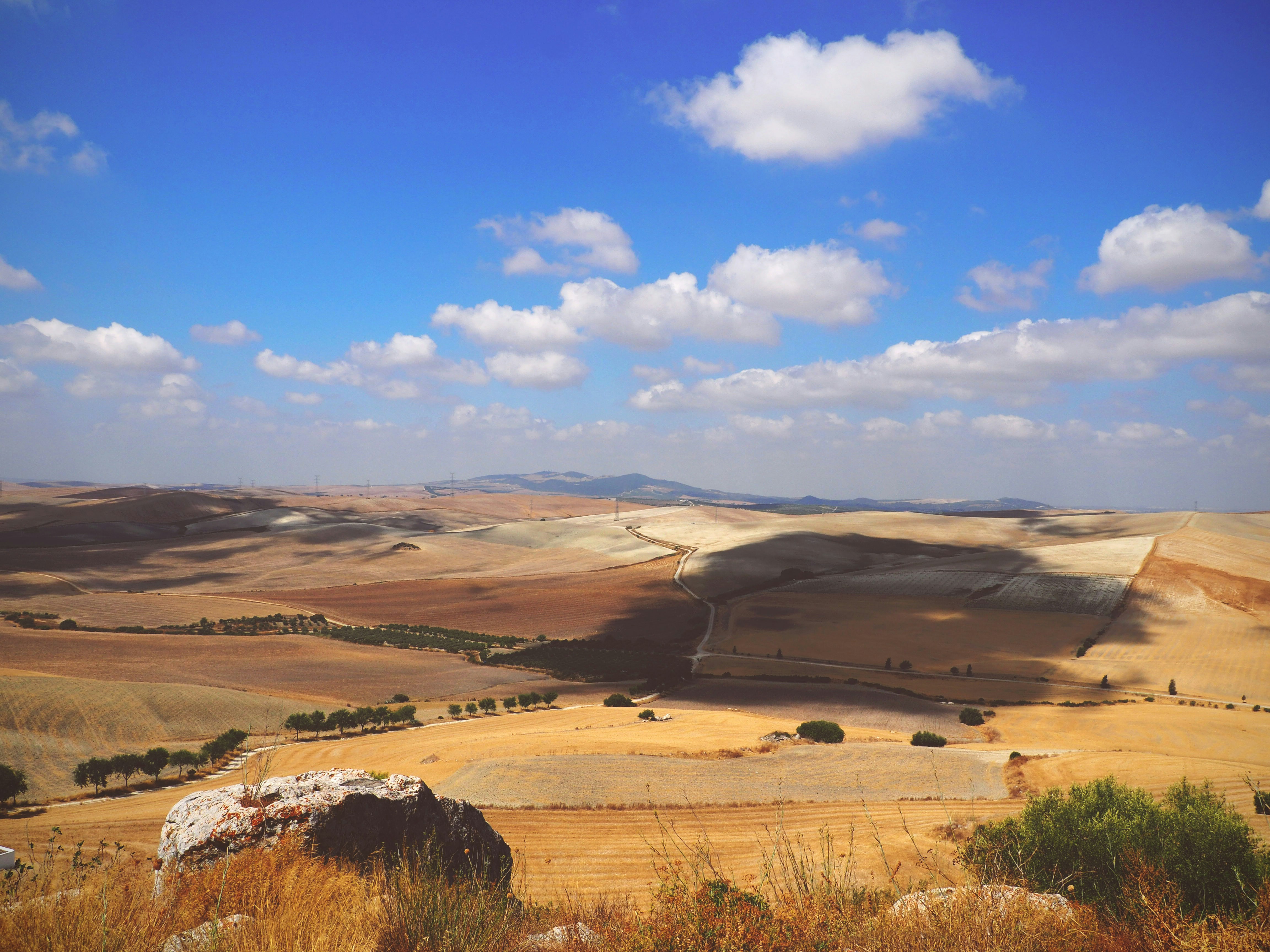 a landscape with hills and trees