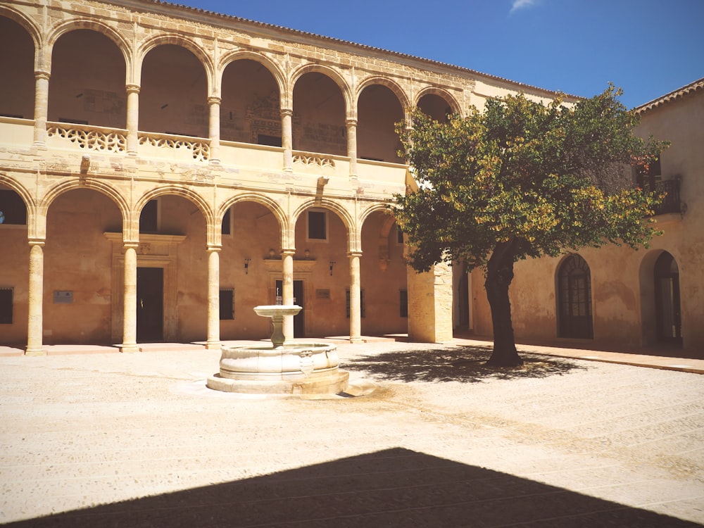 a courtyard with a fountain and a tree in front of a building
