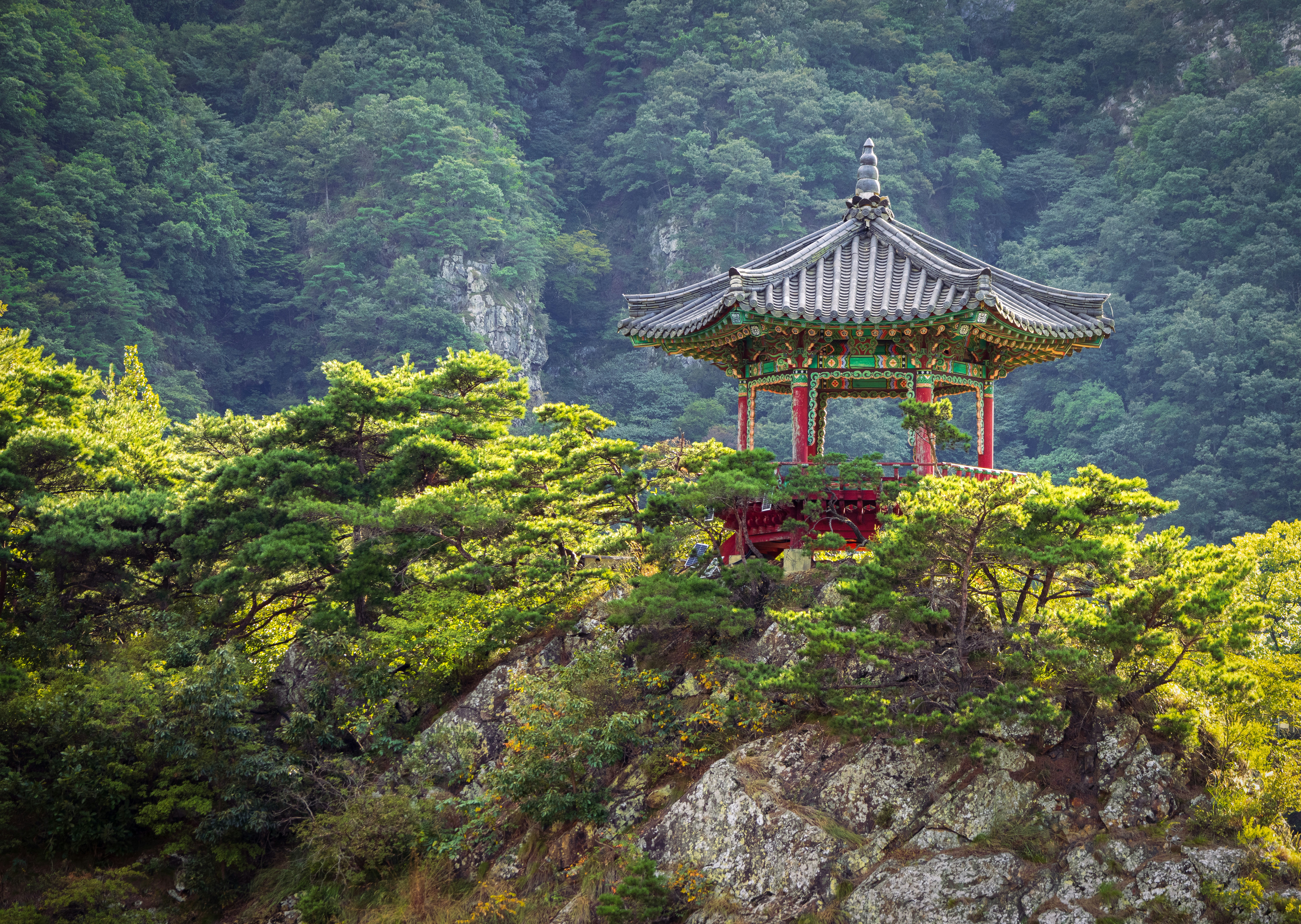 Photo by photosofkorea