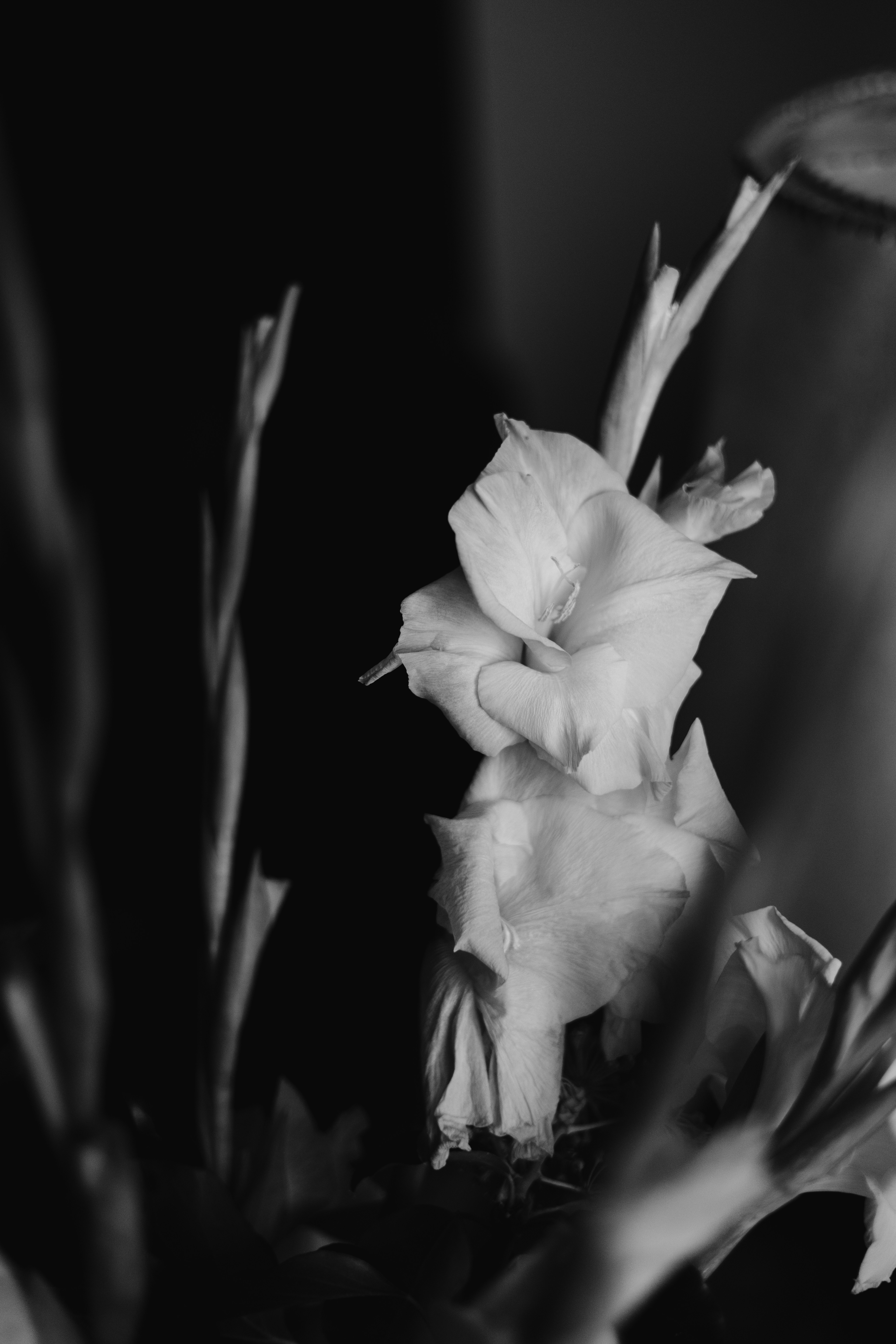 Photo by filipp_roman_photography