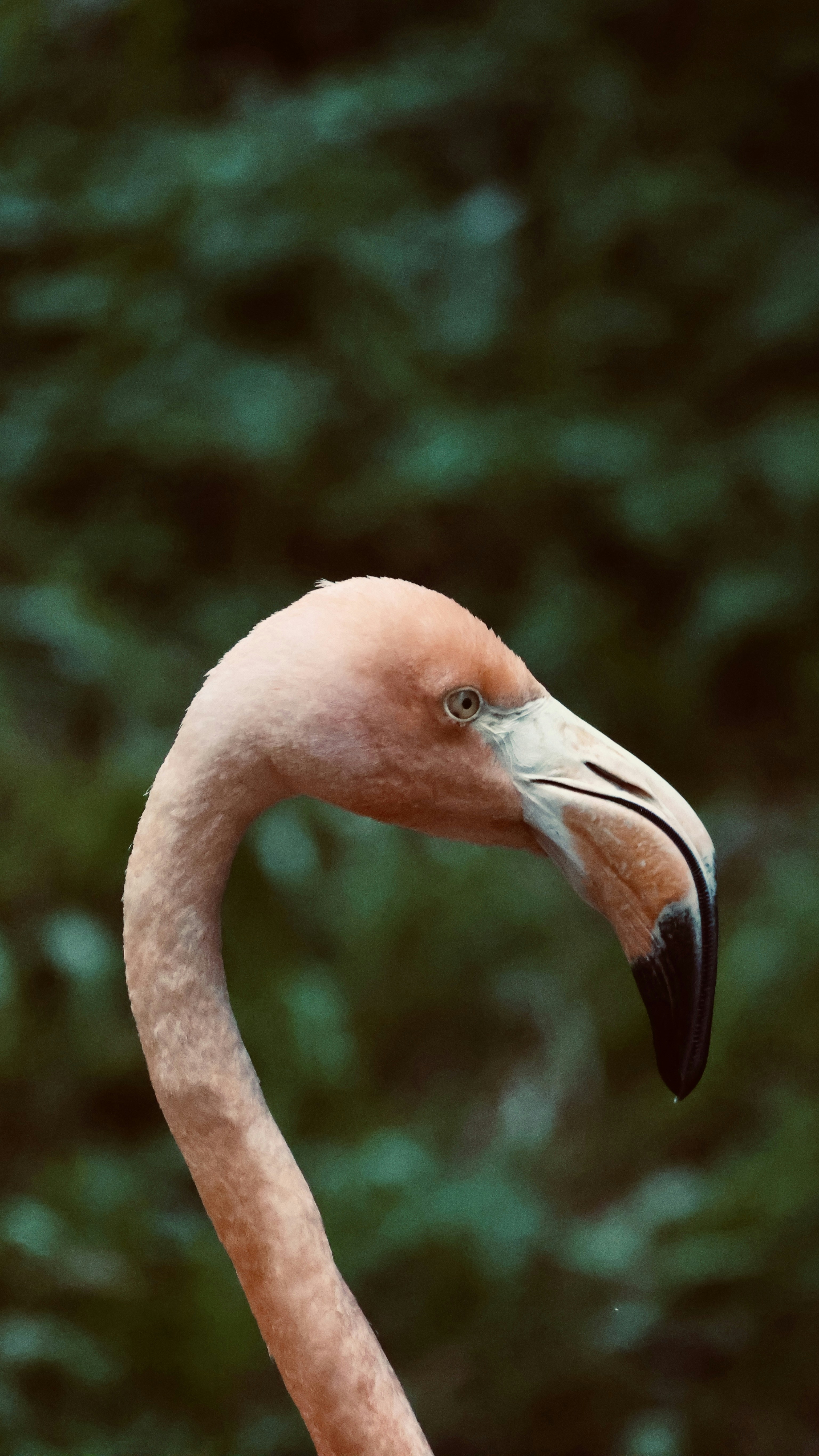 Photo by dickenslin76