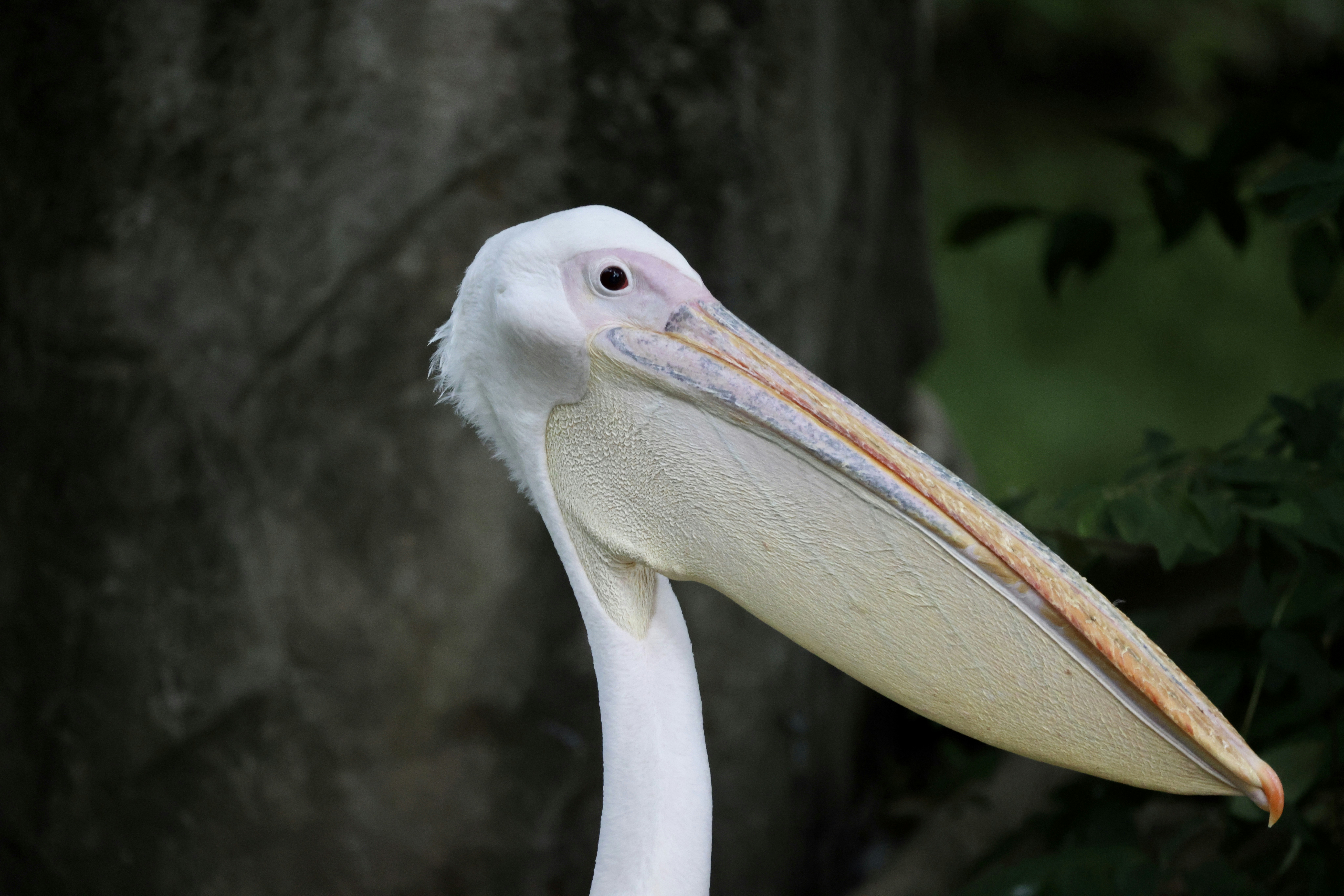 Photo by dickenslin76