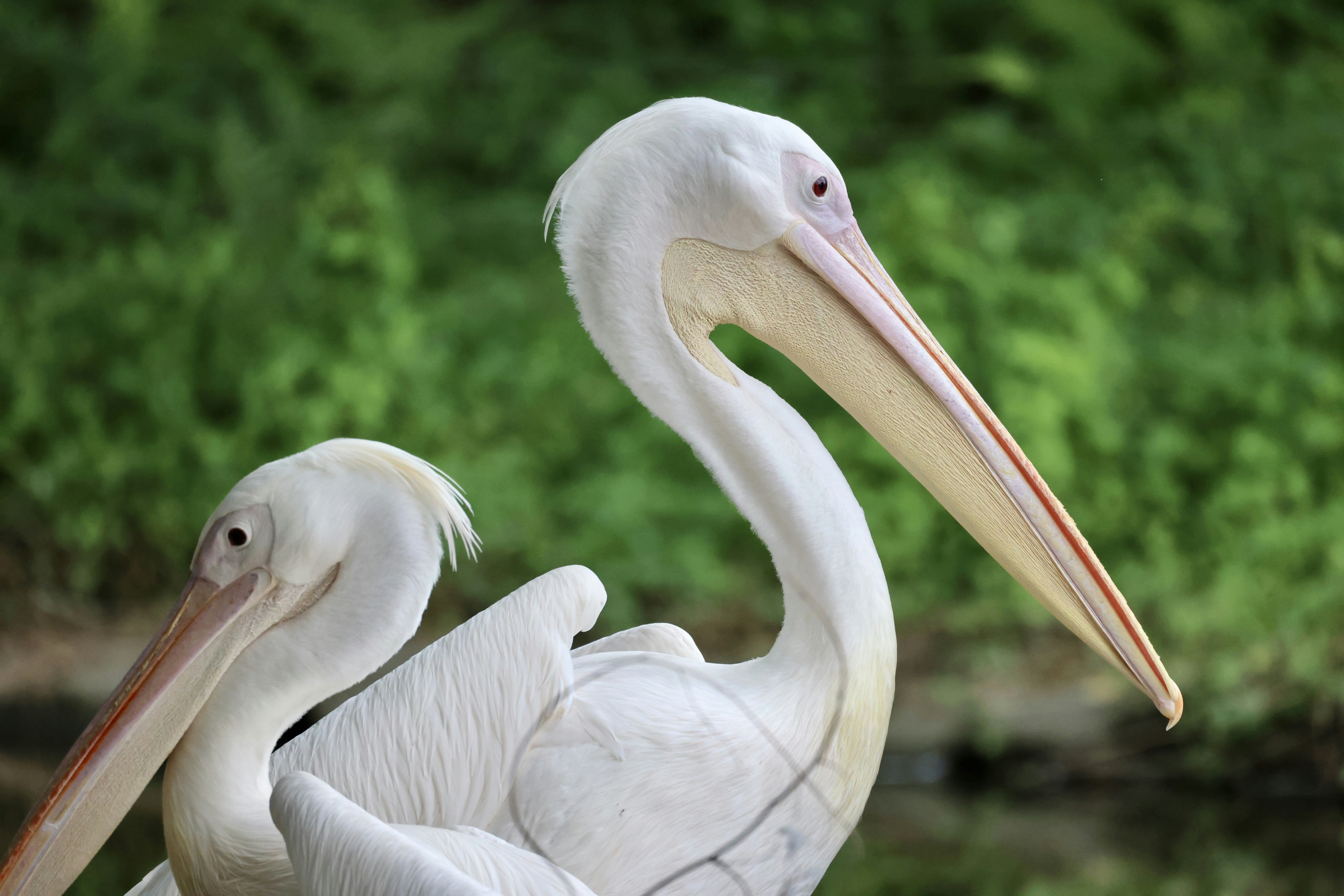 Photo by dickenslin76