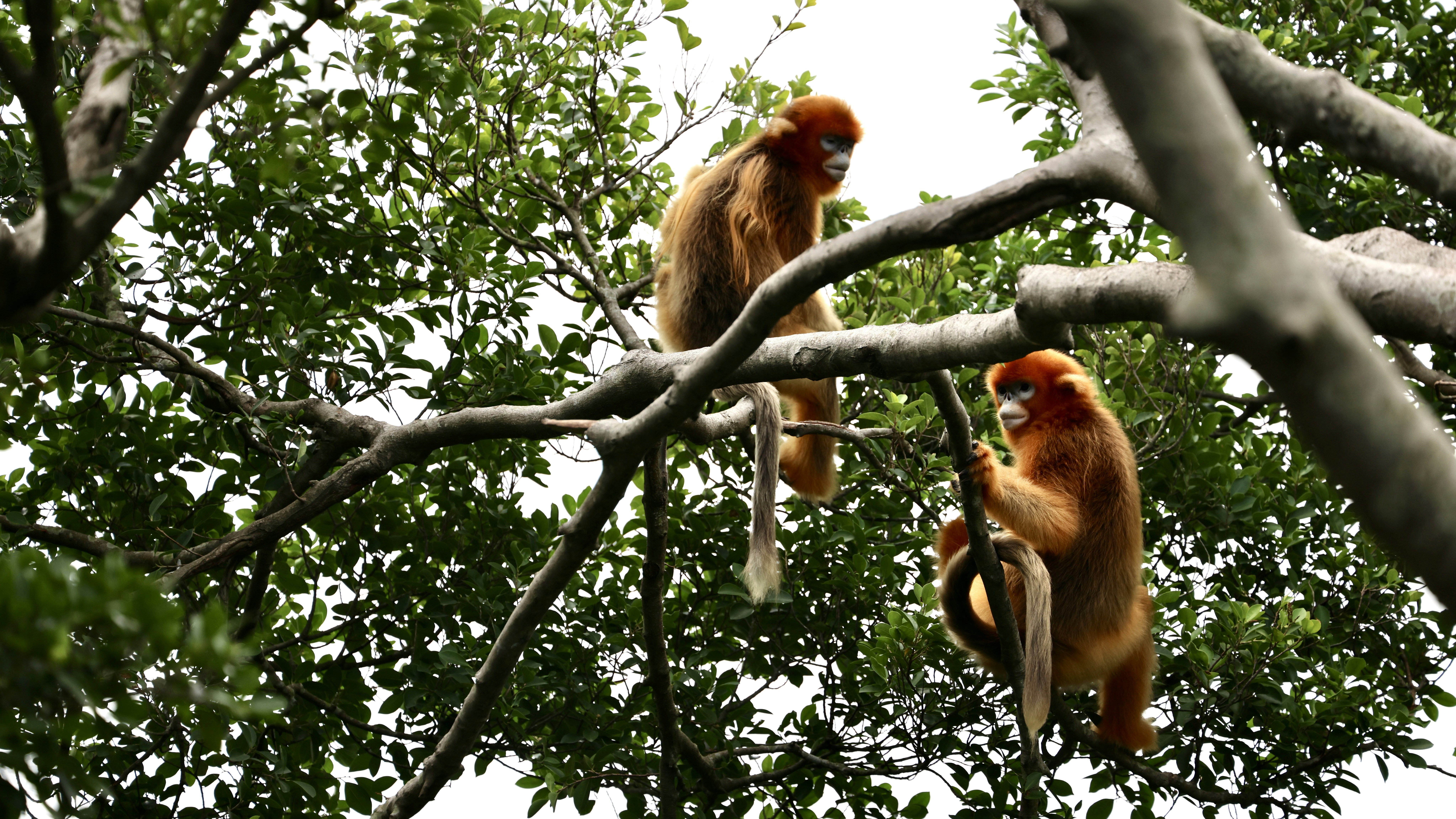 Photo by dickenslin76