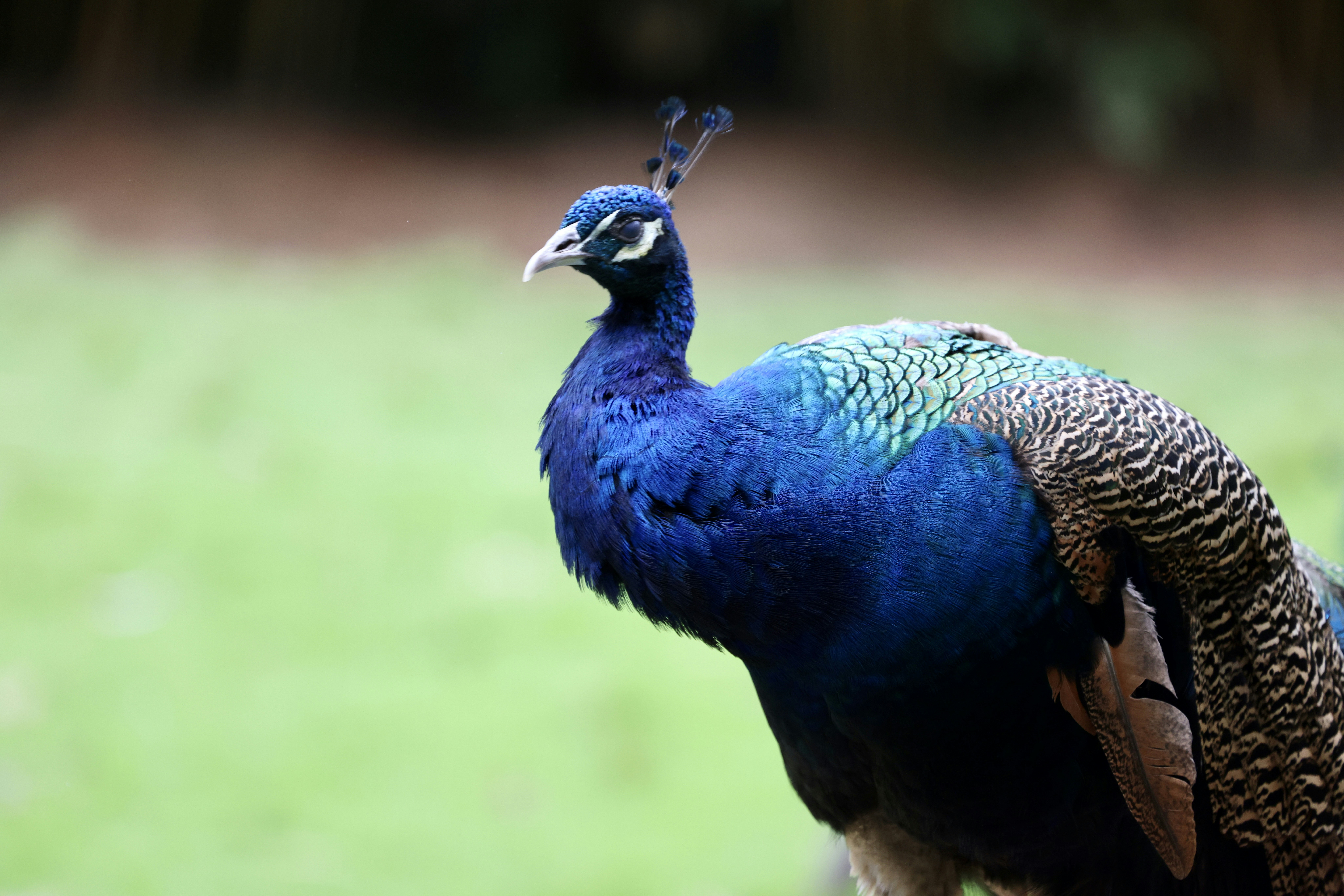 Photo by dickenslin76