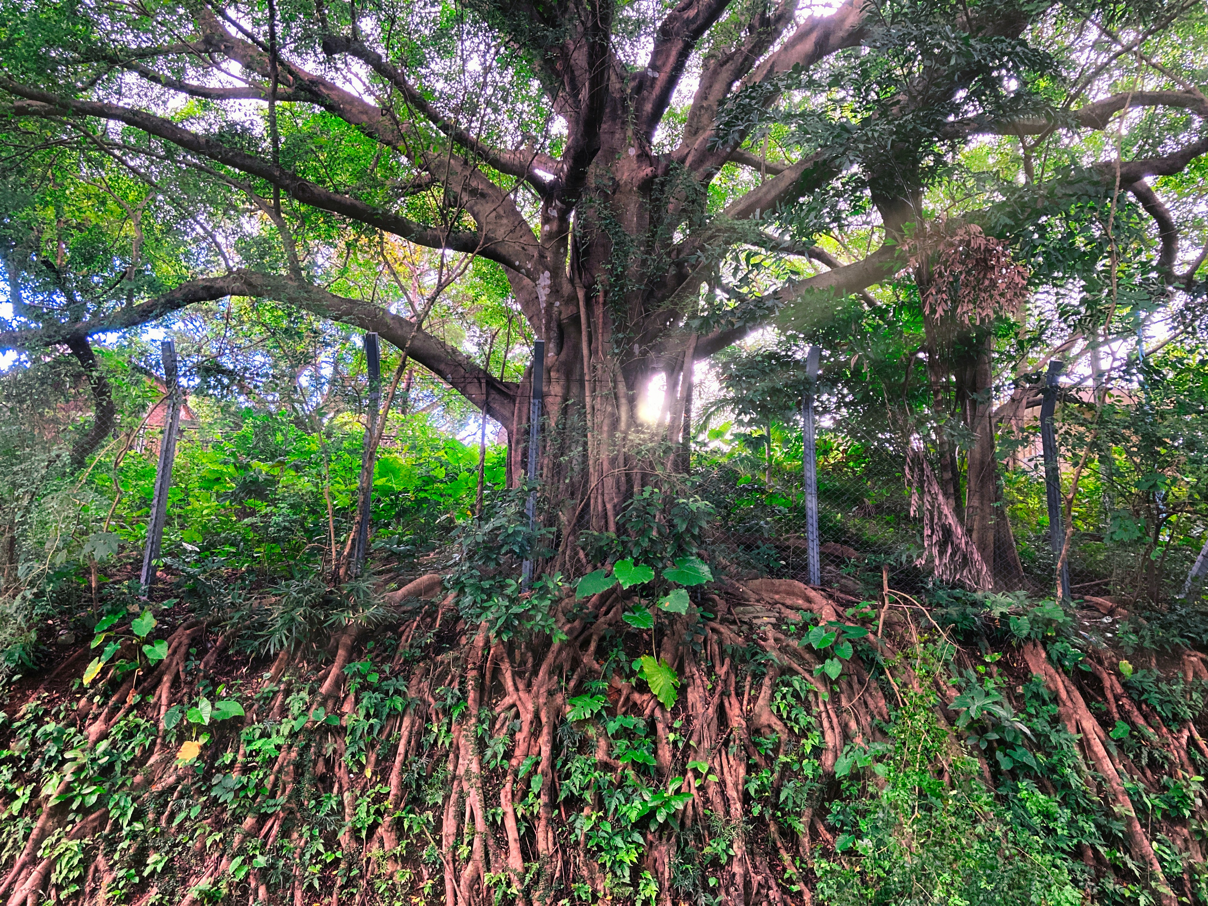 Photo by thomaskinto