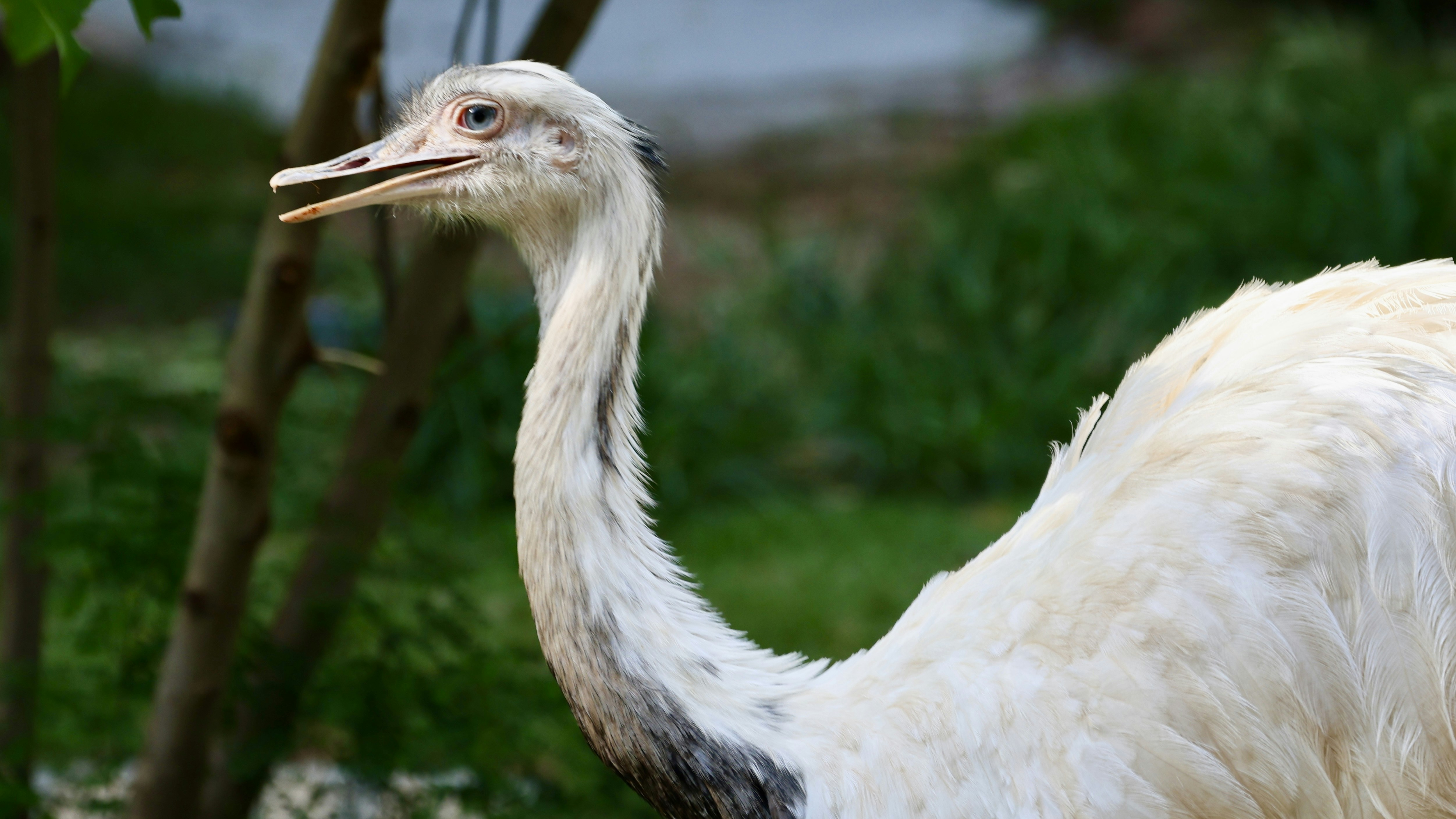 Photo by dickenslin76