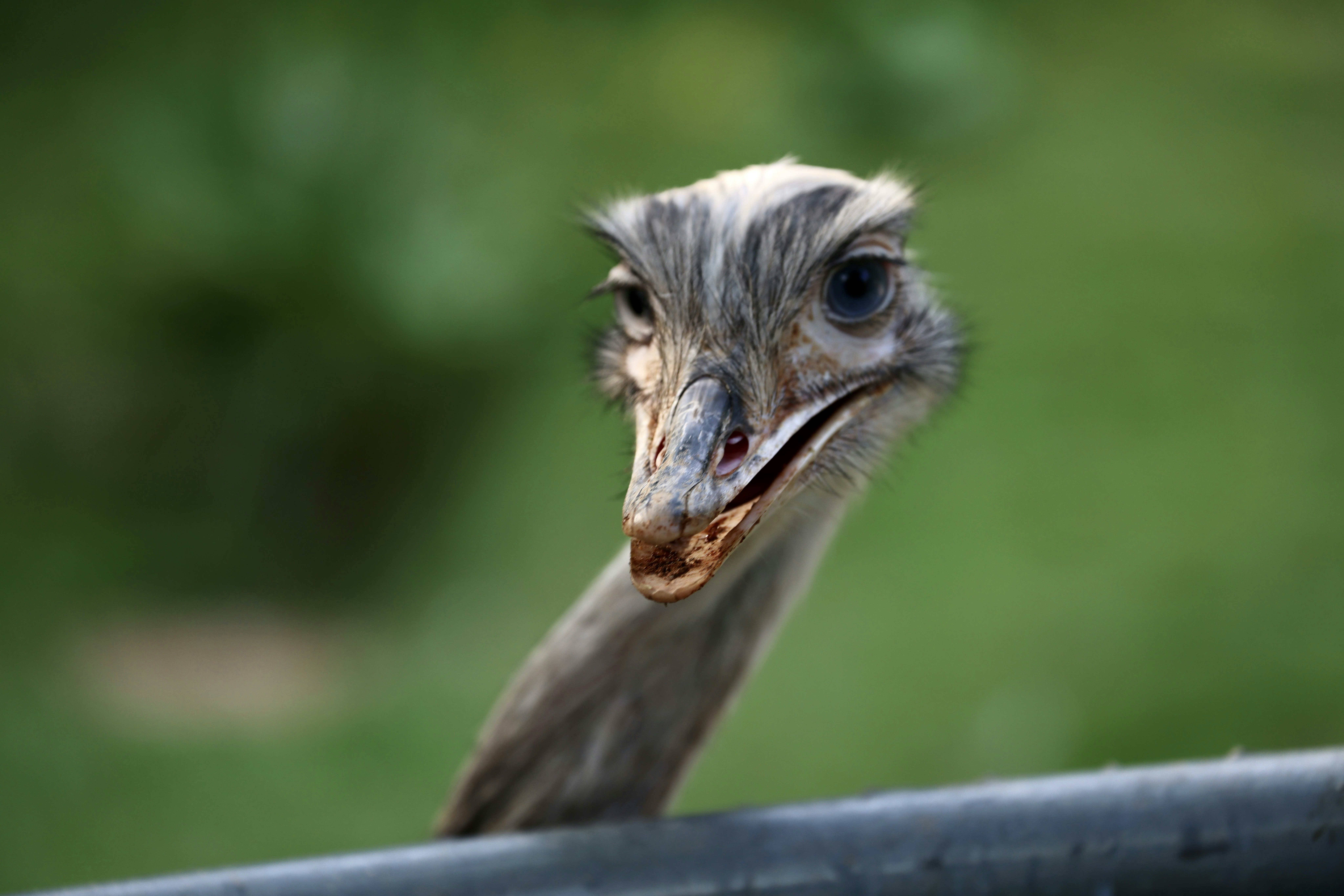 Photo by dickenslin76