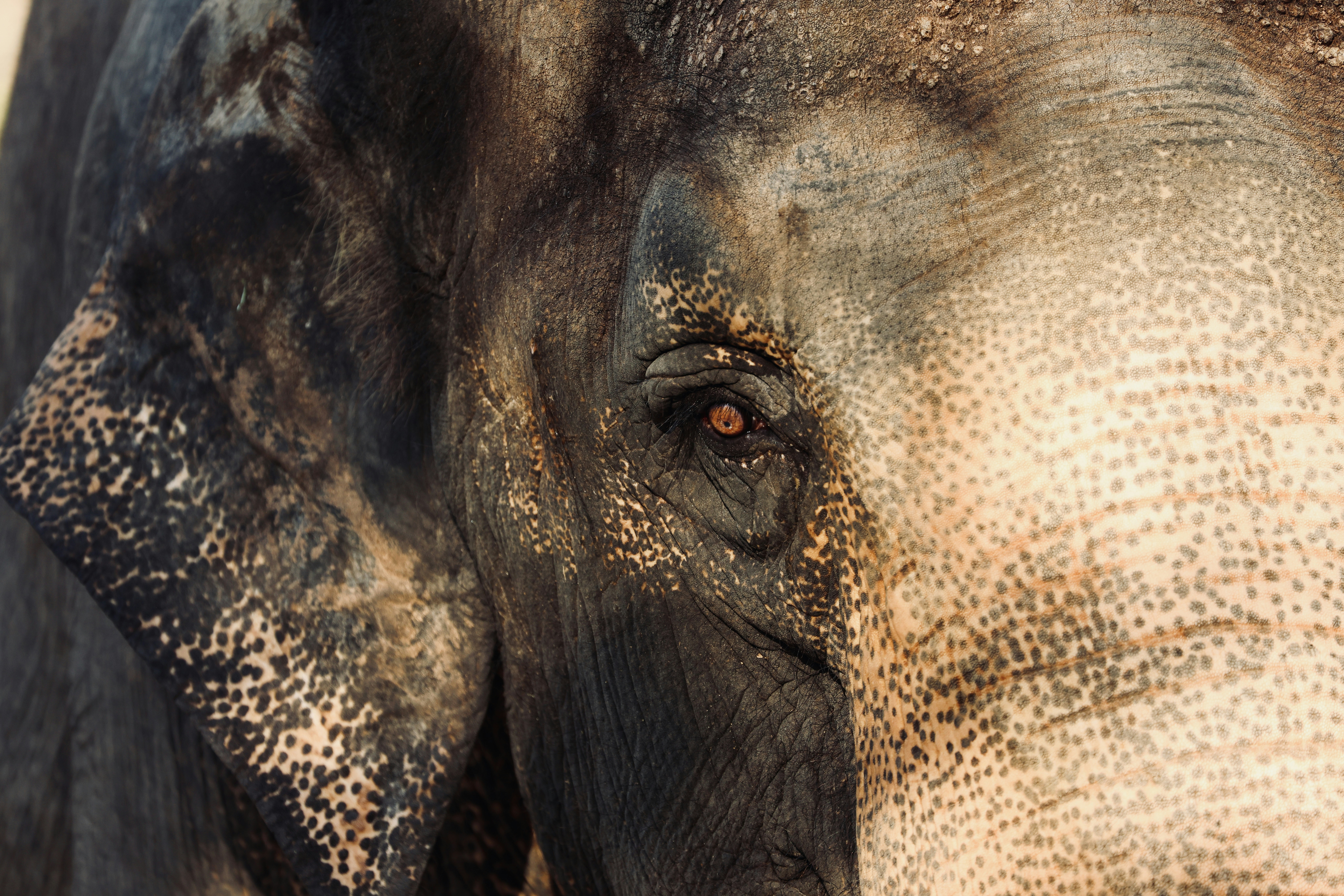 Photo by dickenslin76