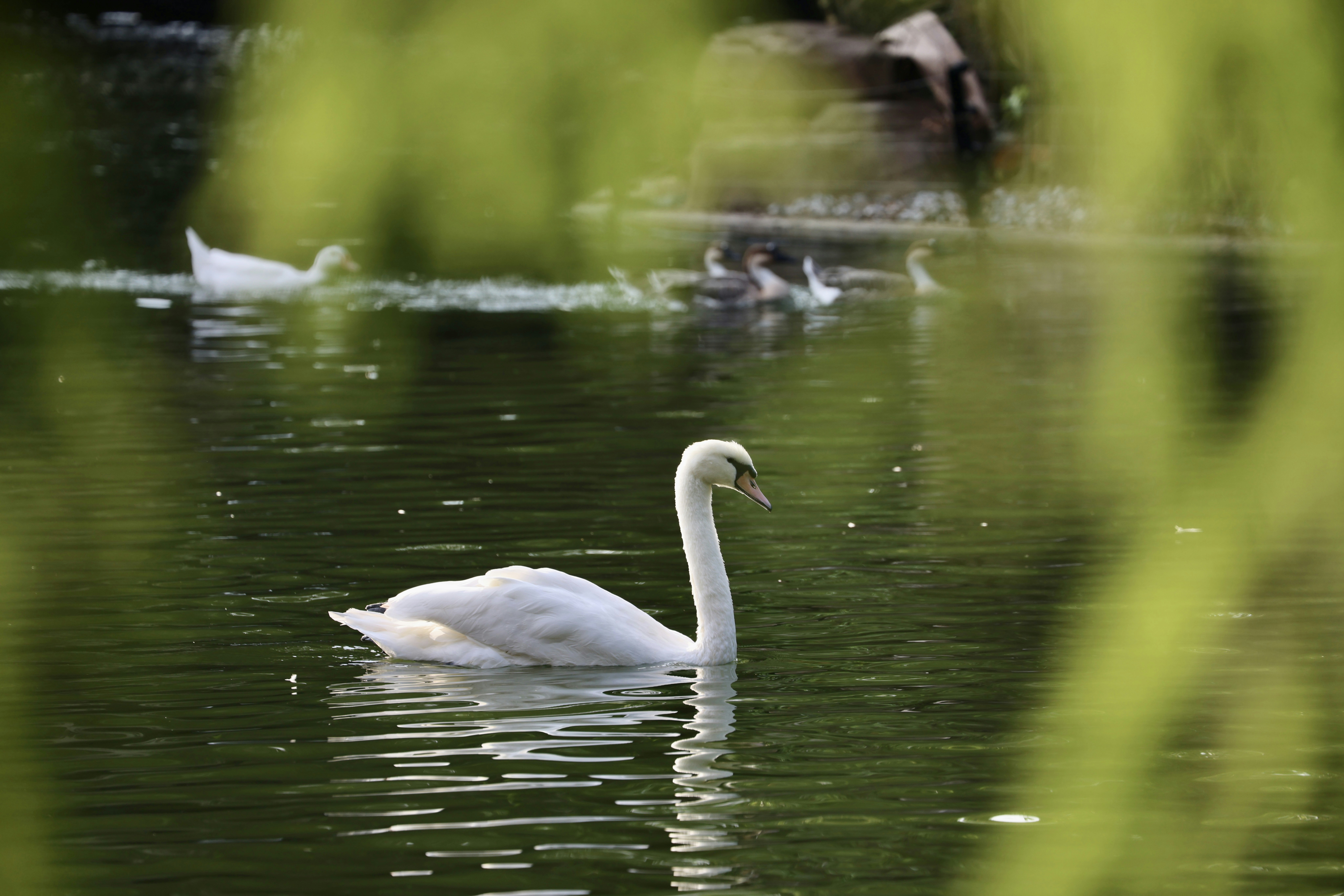 Photo by dickenslin76