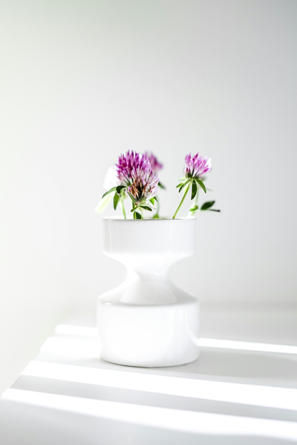 a white vase with purple flowers
