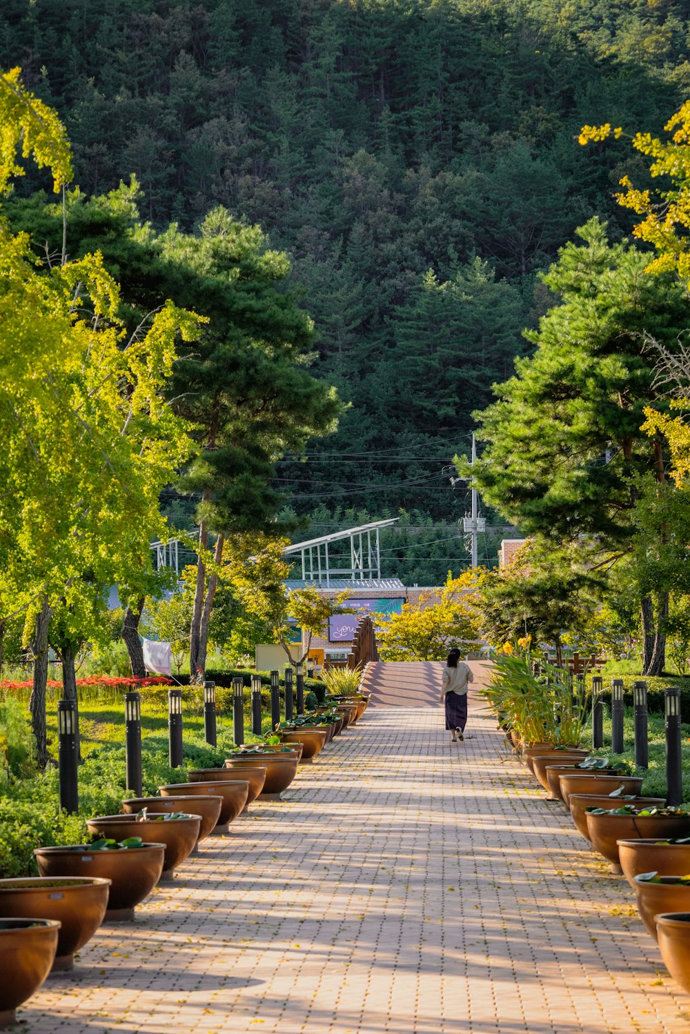 a person walking on a brick path with trees and plants on either side