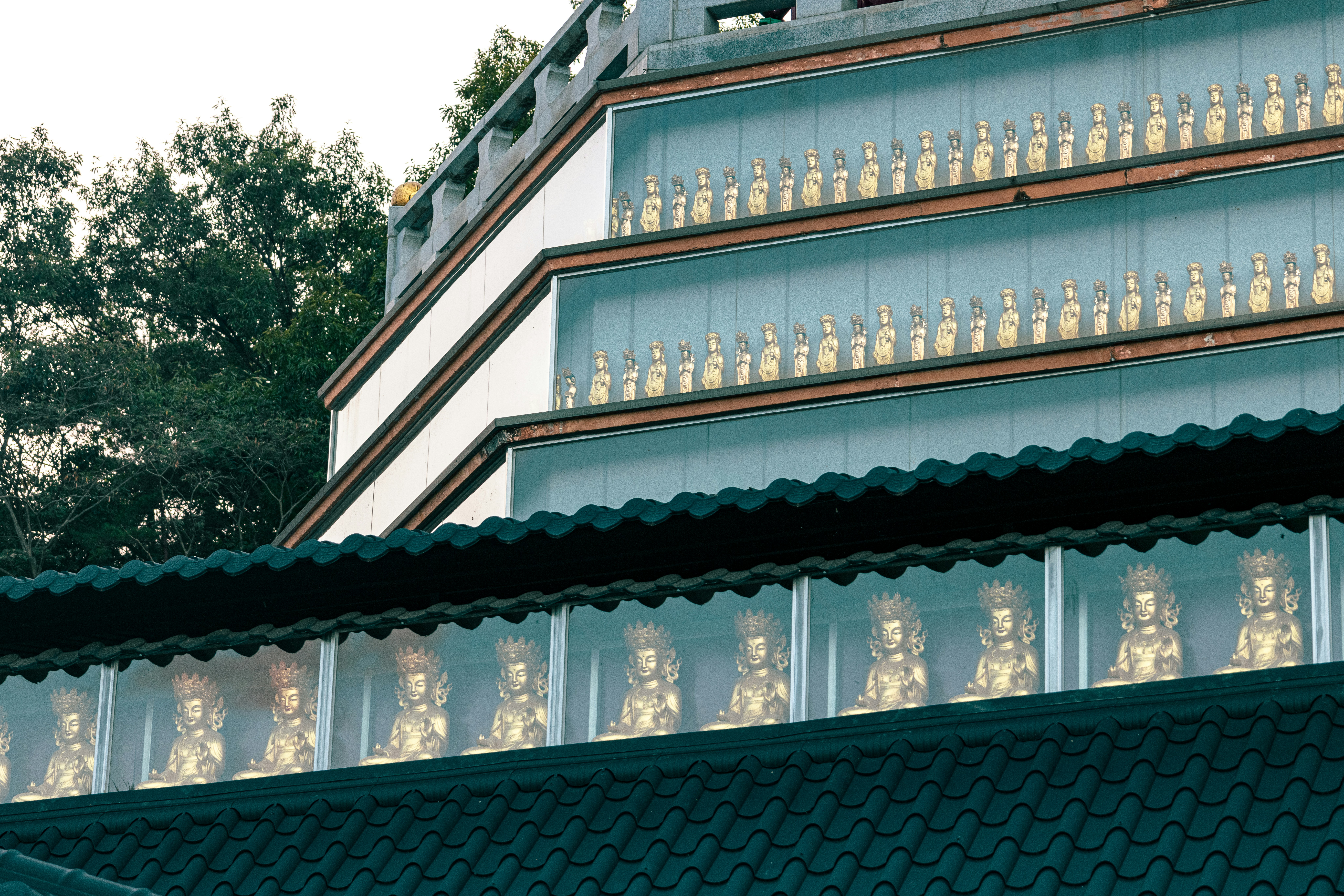 Photo by photosofkorea