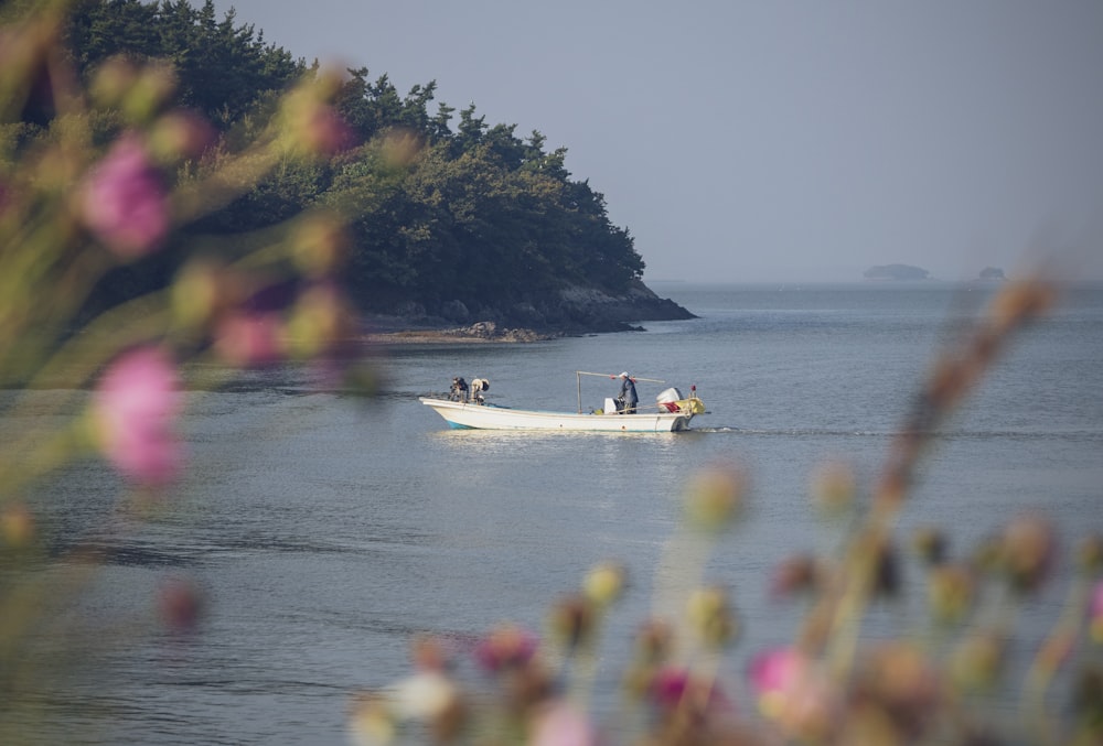 a boat on the water