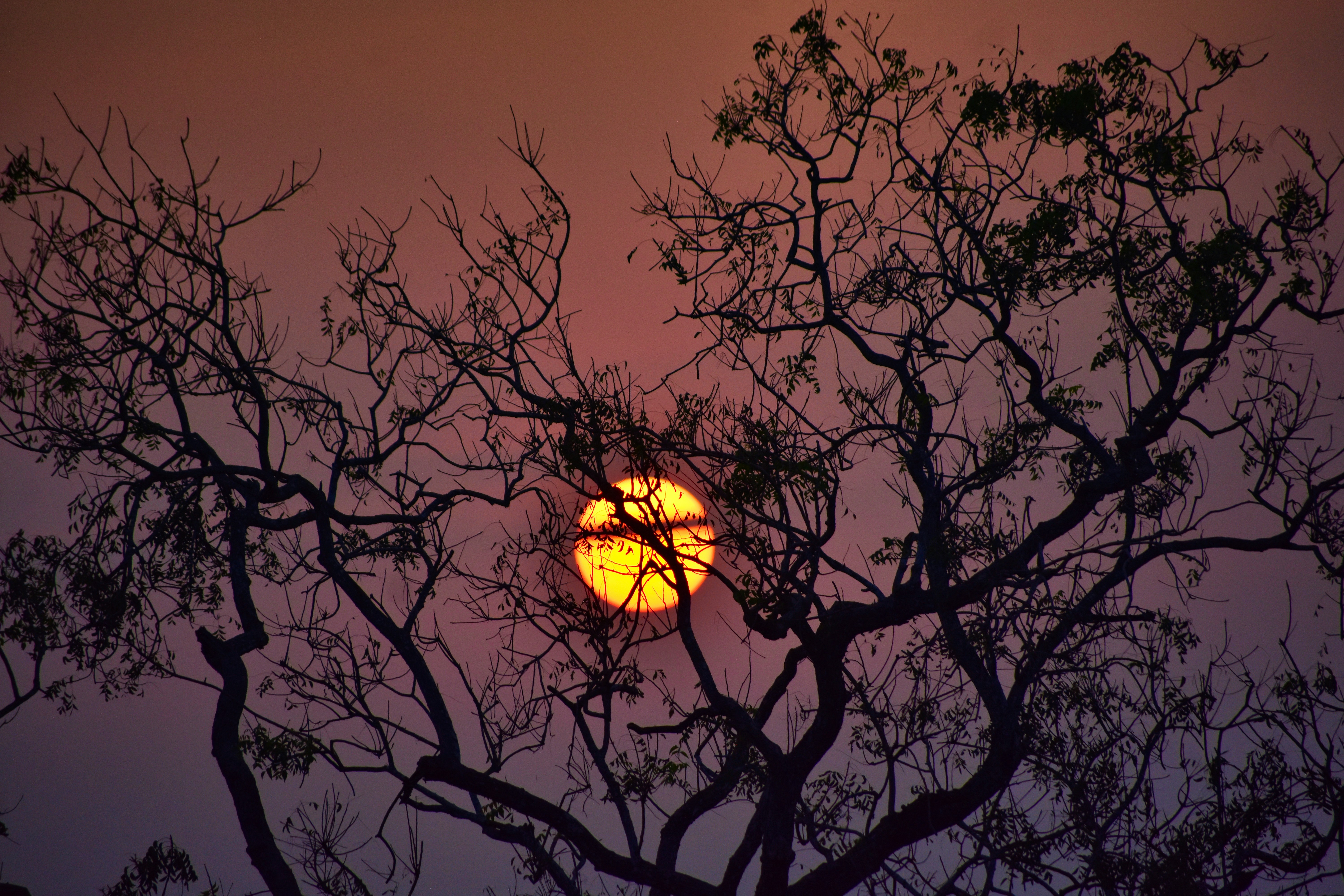 Photo by soubhagya23