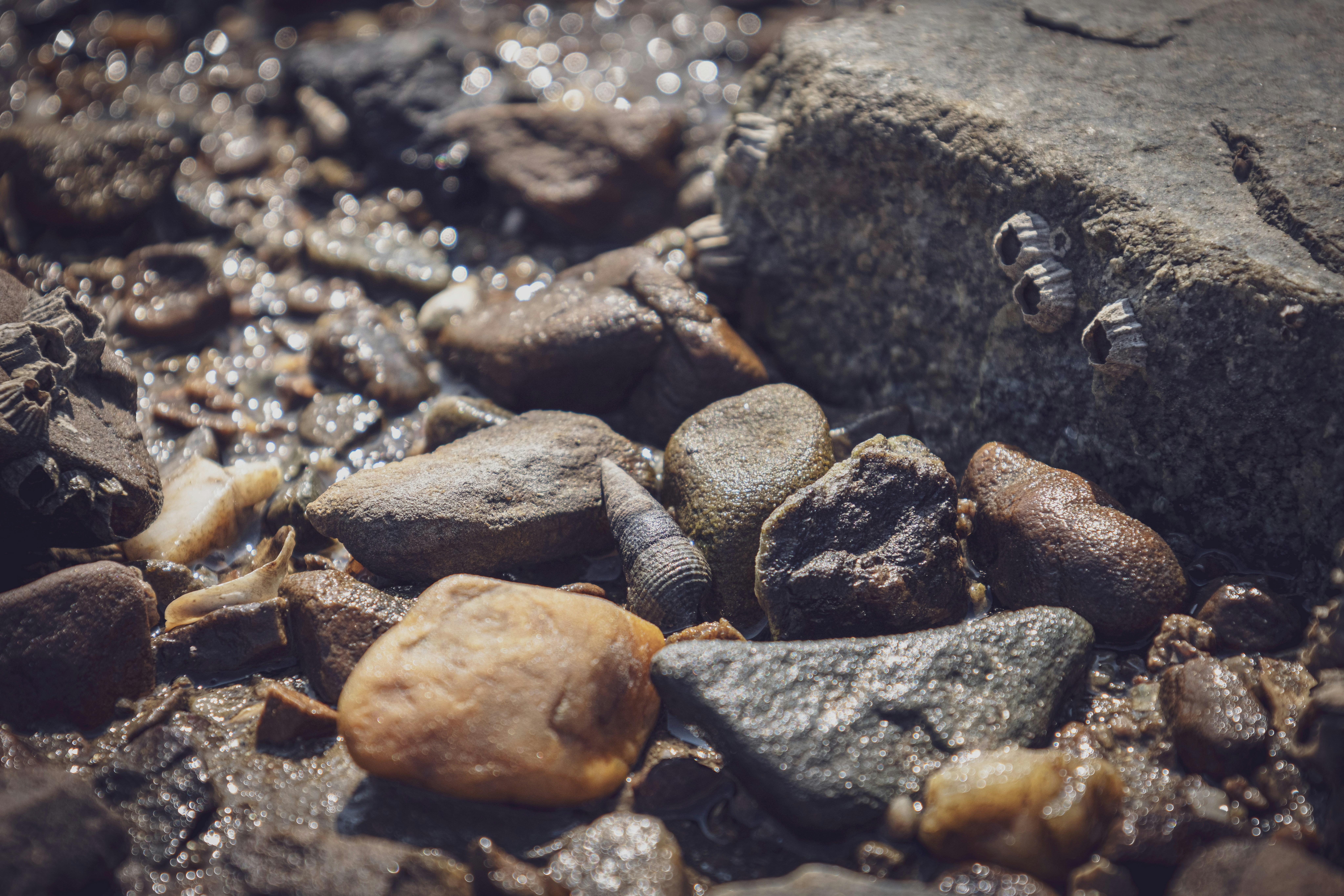 Photo by photosofkorea