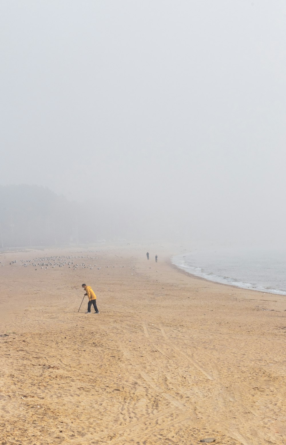 a person walking on a beach