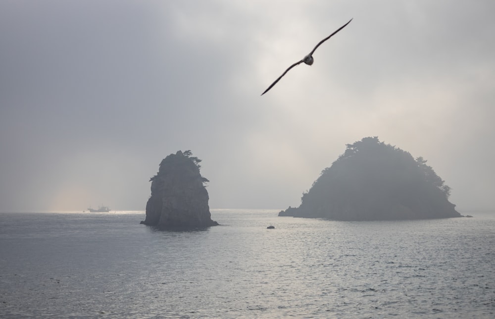 a bird flying over a group of islands