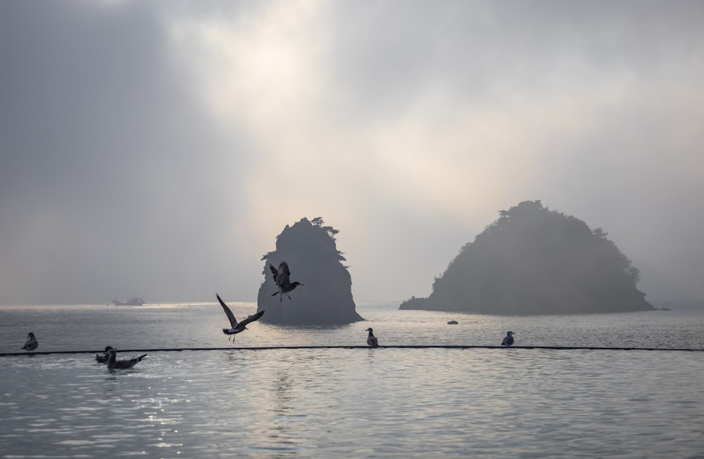 a group of people rowing a boat with Haystack Rock in the background