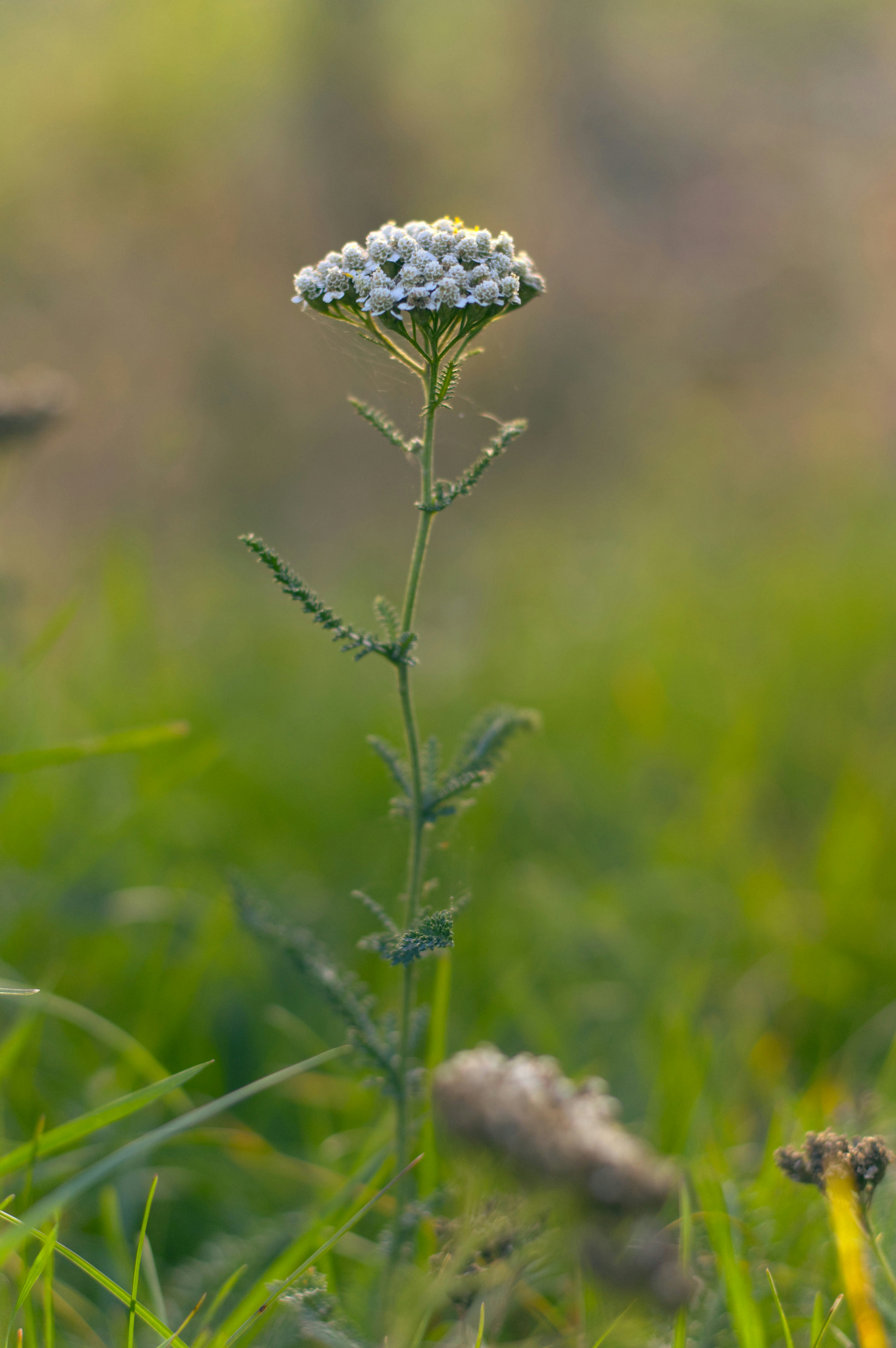 Photo by einthomas