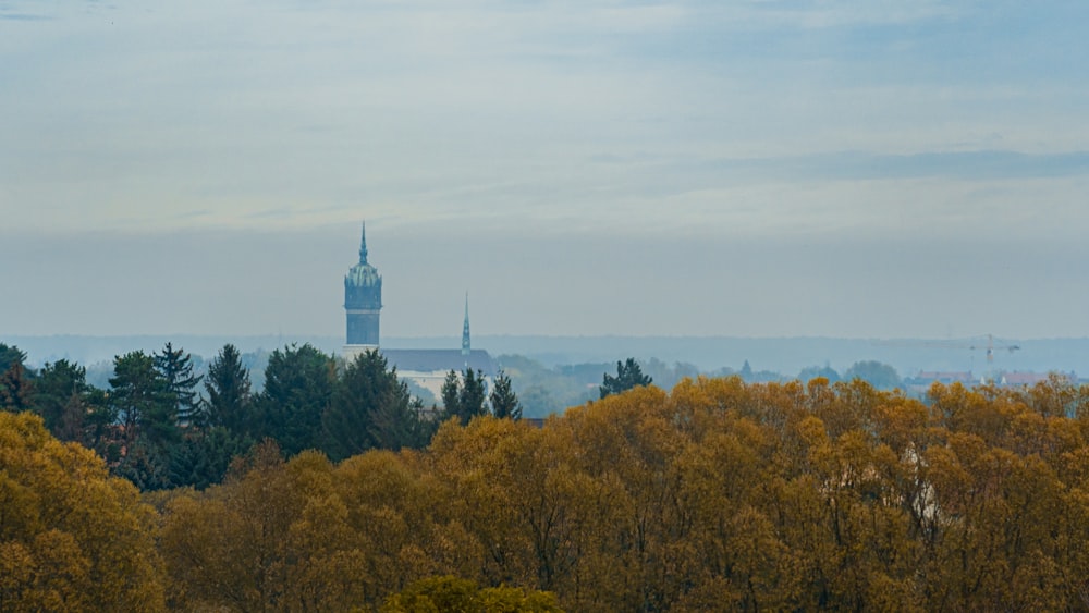 a view of a city from a hill with trees and a tower