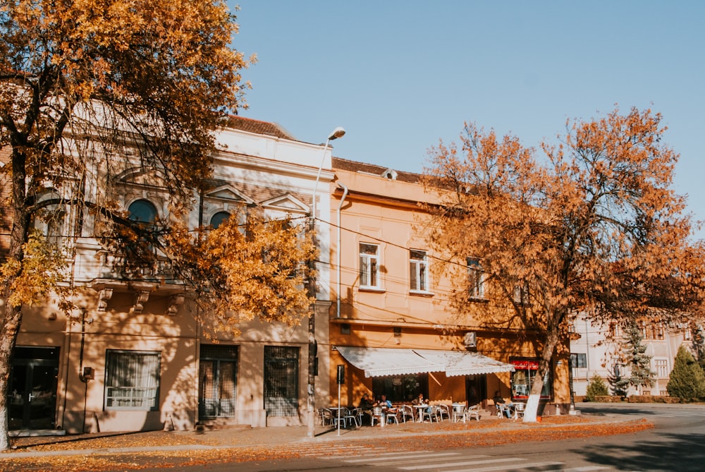 a building with trees in front of it