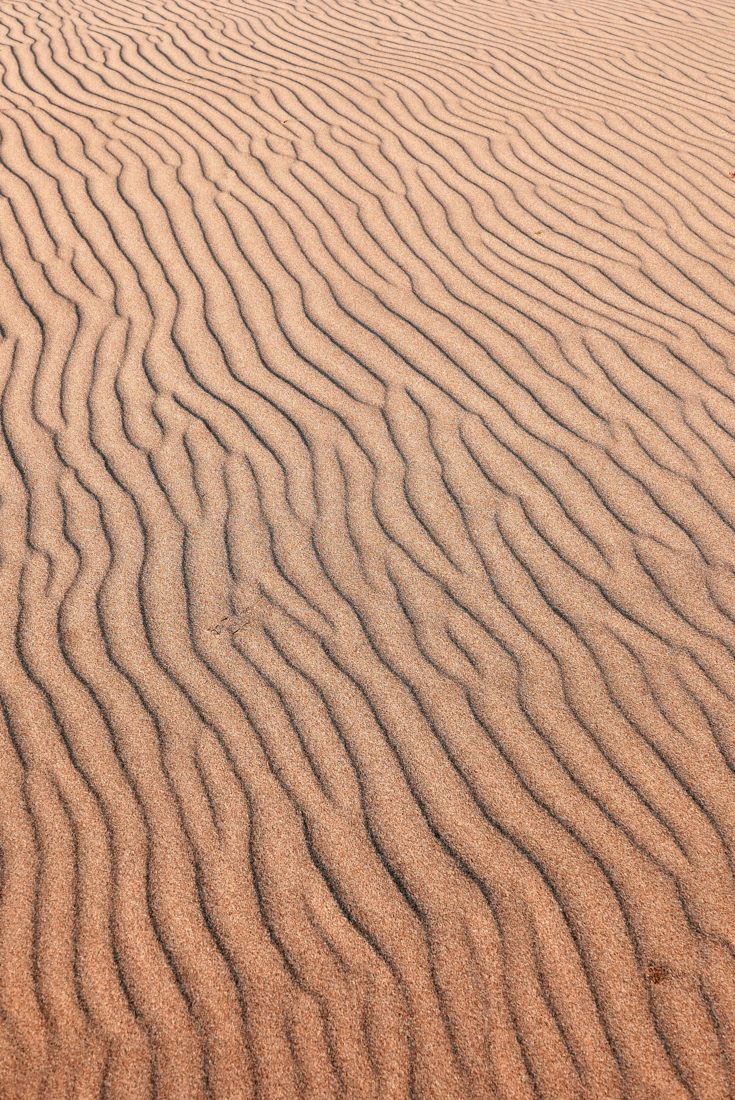 Photo by another_passenger717