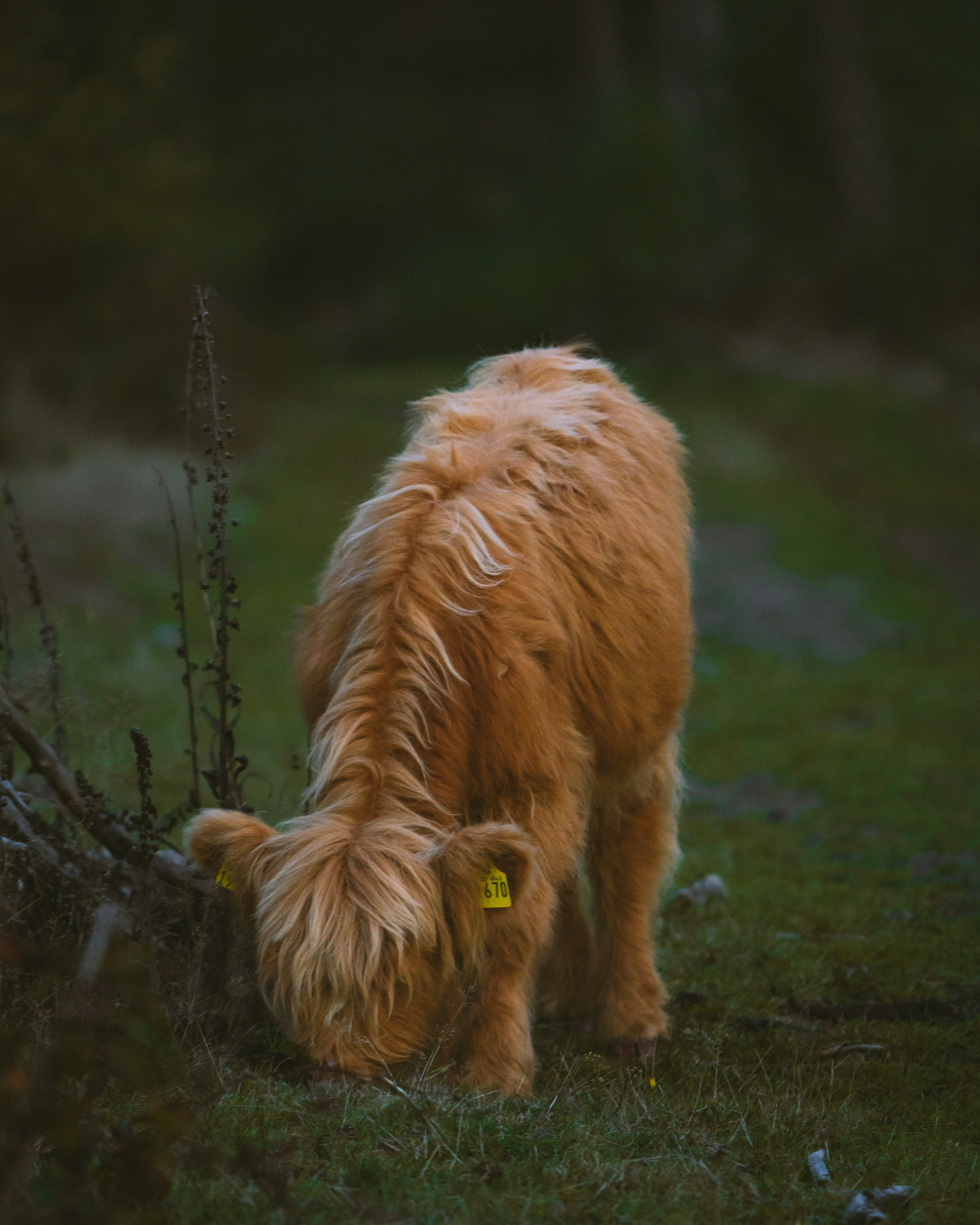 Photo by Viktor Mischke on Unsplash / https://unsplash.com/@viklukphotography