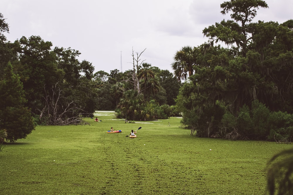 a group of people on a grassy field with trees in the background